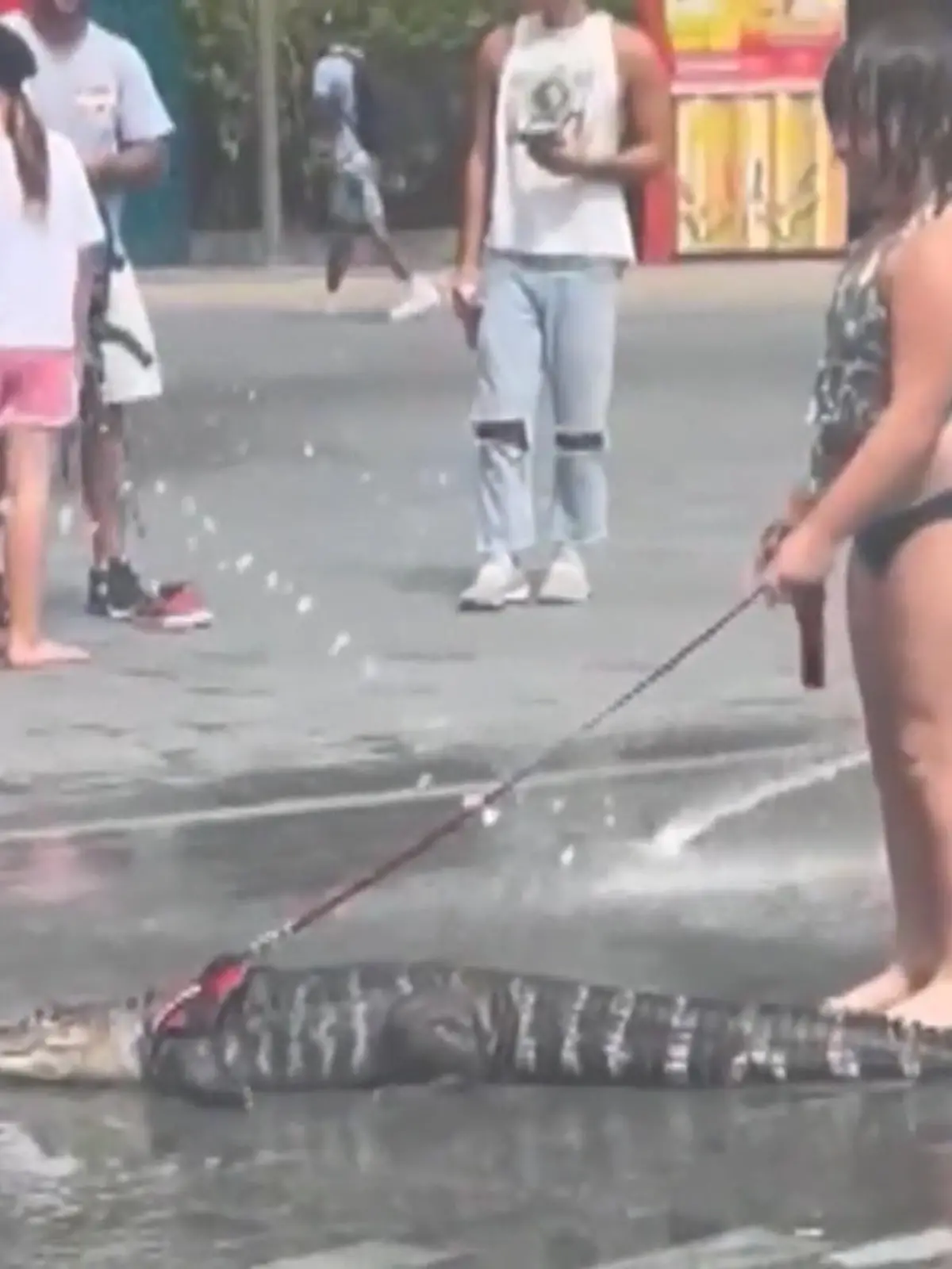 Kaum zu glauben, aber in Philadelphia spaziert ein Mädchen einfach mit einem Alligator an der Leine durch den Love Park. Das sorgt für Aufsehen.