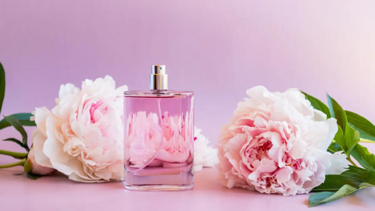 a chic bottle of fragrant perfume against the backdrop of delicate garden peonies. aroma presentation. space for text