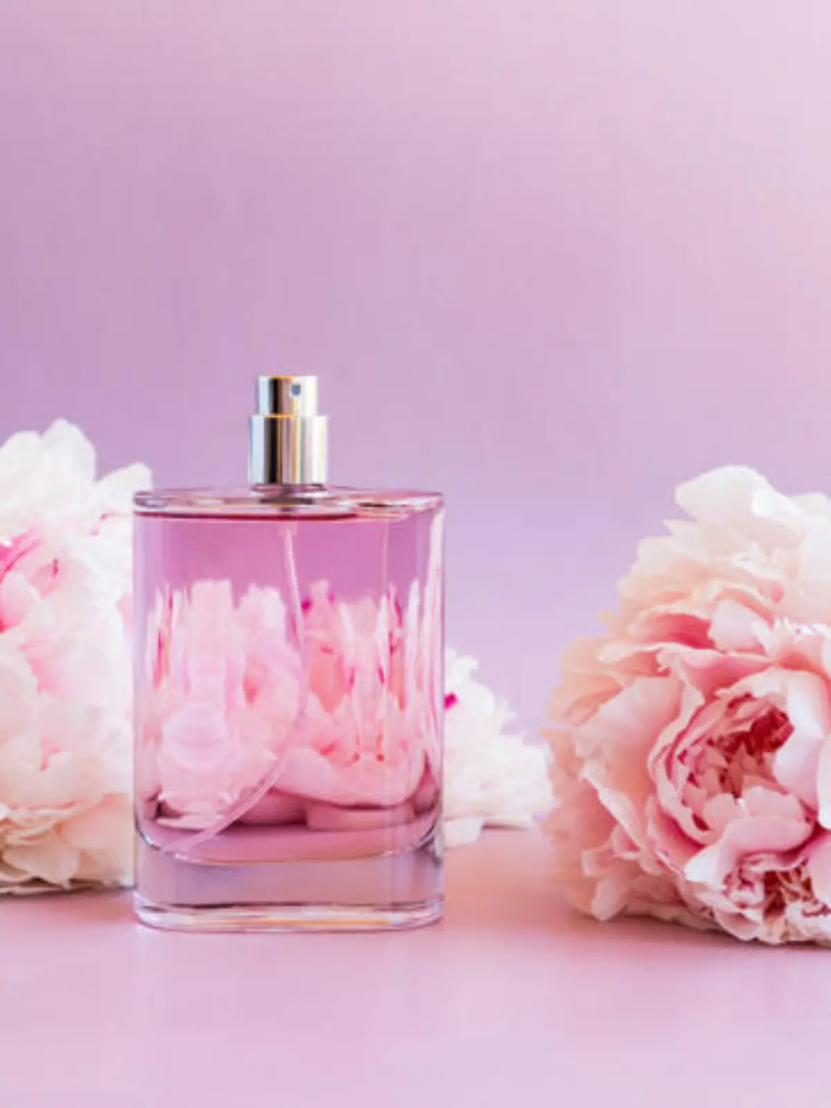 a chic bottle of fragrant perfume against the backdrop of delicate garden peonies. aroma presentation. space for text