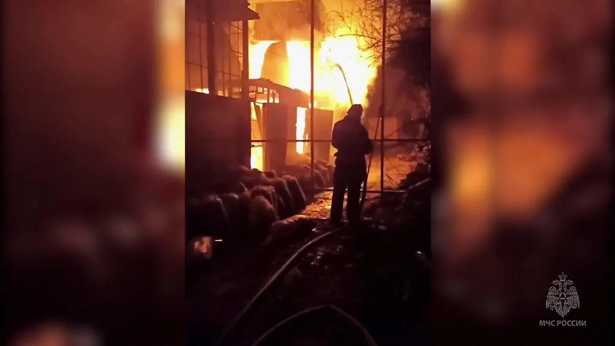 Feuer Zoo Krim