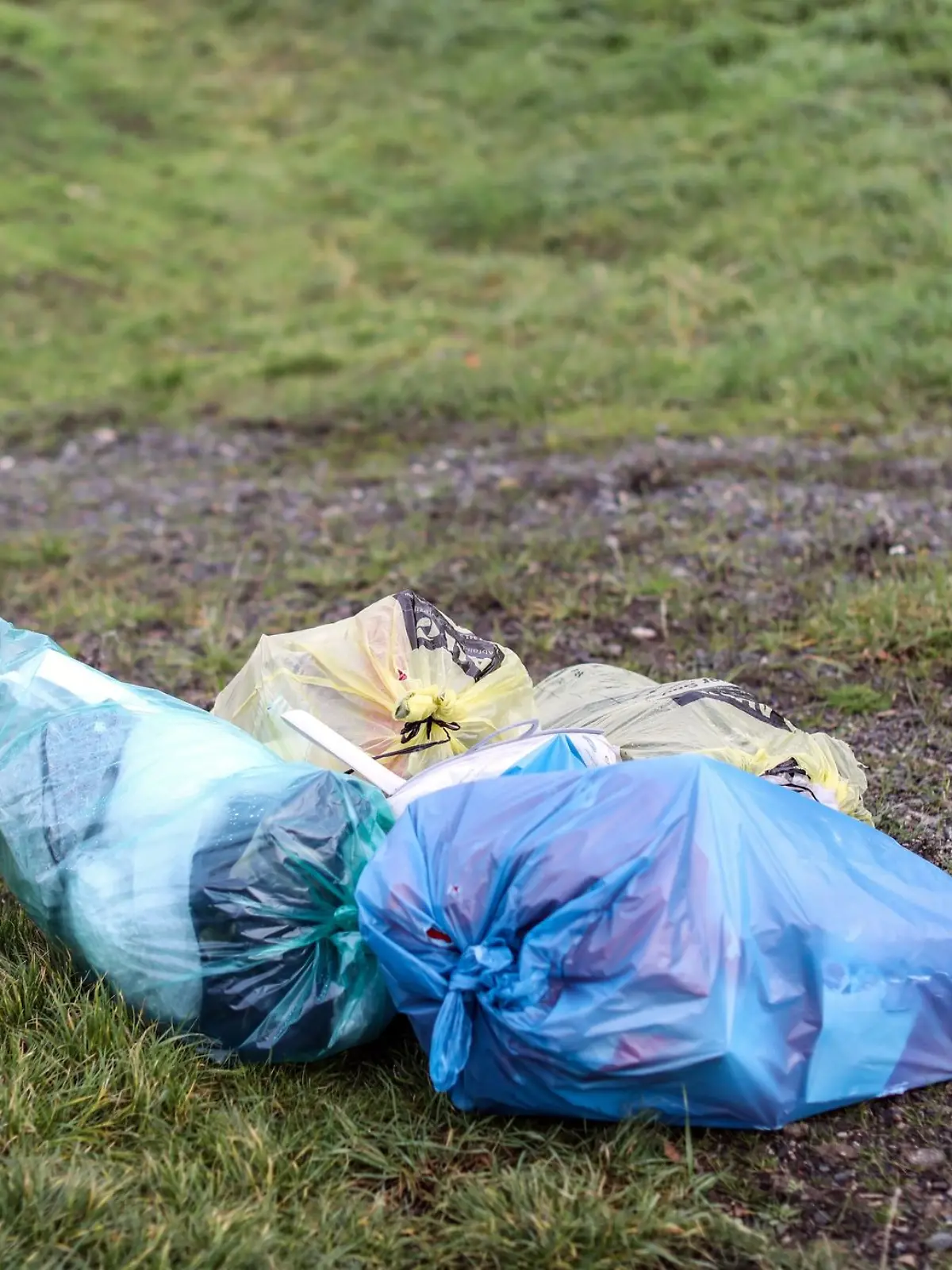 Mehrere Mülltüten liegen abseits einer Straße auf einer Wiese.