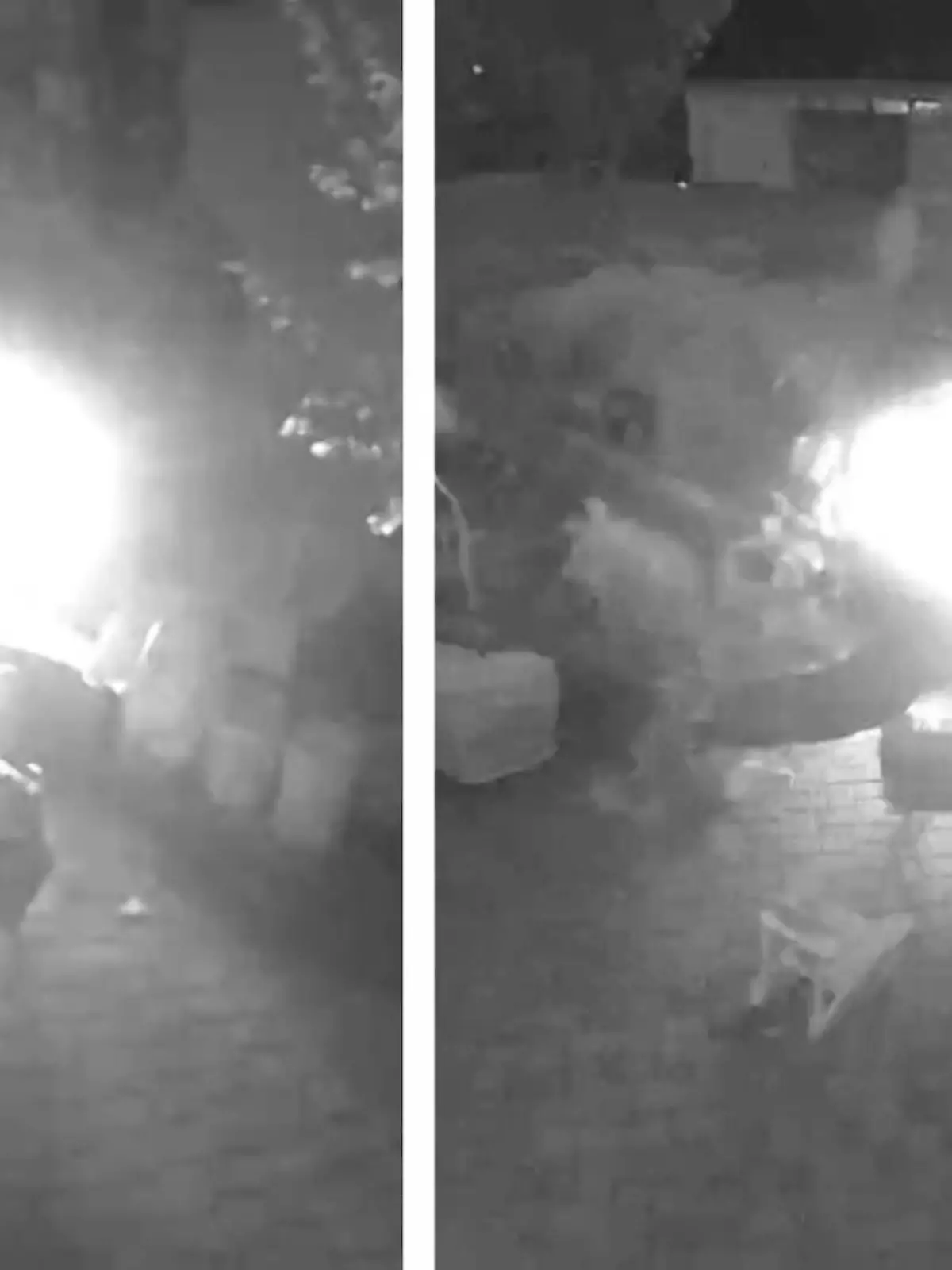 Die Freunde Chris Johannsen und Chad Day verbringen mit ihren Familien einen Abend im Garten. Während die Kinder spielen, sitzen die Väter am Feuer. Doch ein ungewöhnliches Geräusch zerstört die gemütliche Stimmung innerhalb von Sekunden und wird zur tödlichen Gefahr, im Video.