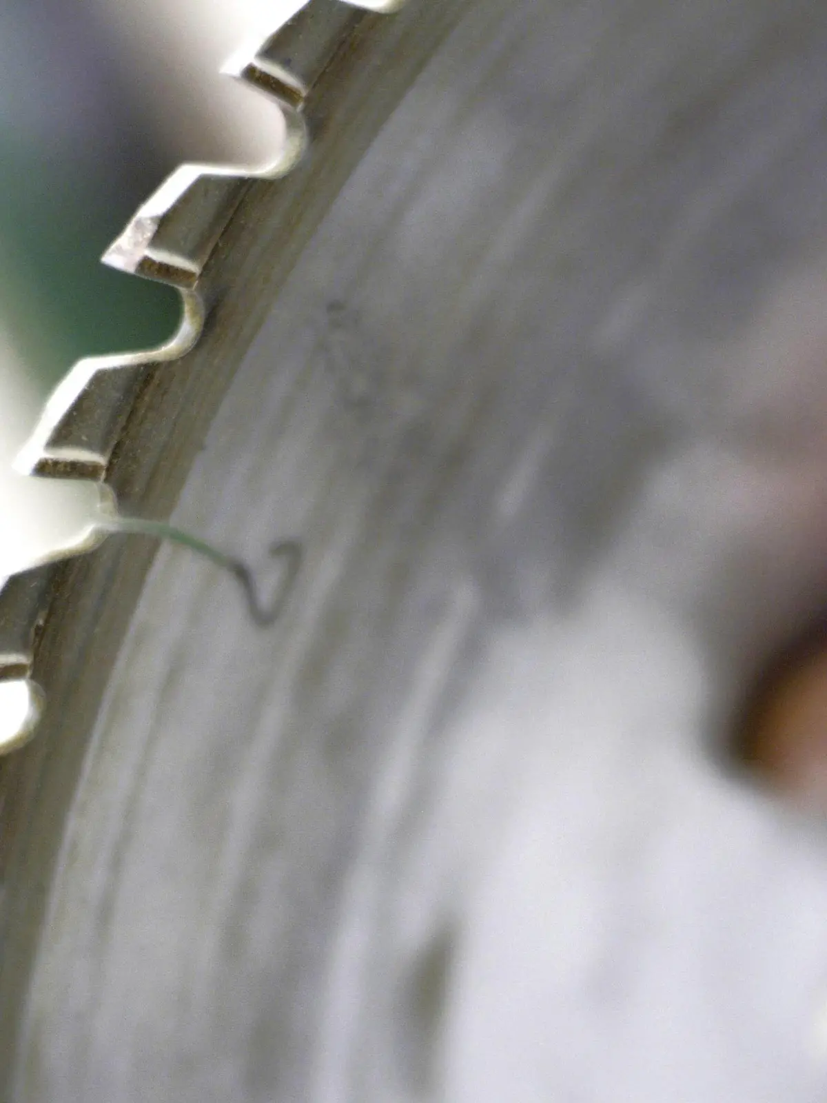 Detail of circular saw blade in workshop. 4063 / Symbol Handwerk PUBLICATIONxINxGERxSUIxAUTxONLY ZB5453_241370_0572

Detail of Circular SAW Blade in Workshop  symbol Crafts PUBLICATIONxINxGERxSUIxAUTxONLY