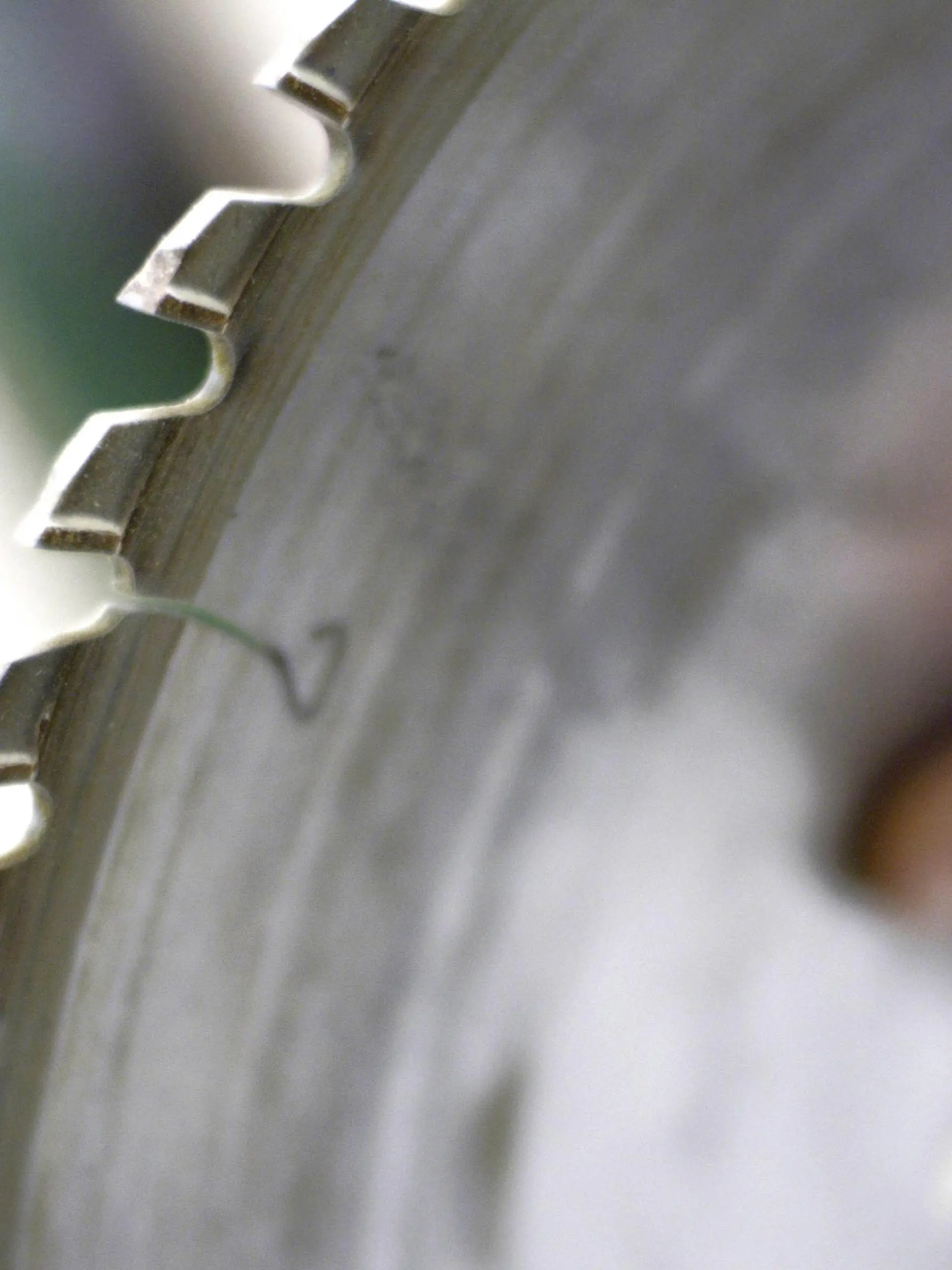 Detail of circular saw blade in workshop. 4063 / Symbol Handwerk PUBLICATIONxINxGERxSUIxAUTxONLY ZB5453_241370_0572

Detail of Circular SAW Blade in Workshop  symbol Crafts PUBLICATIONxINxGERxSUIxAUTxONLY