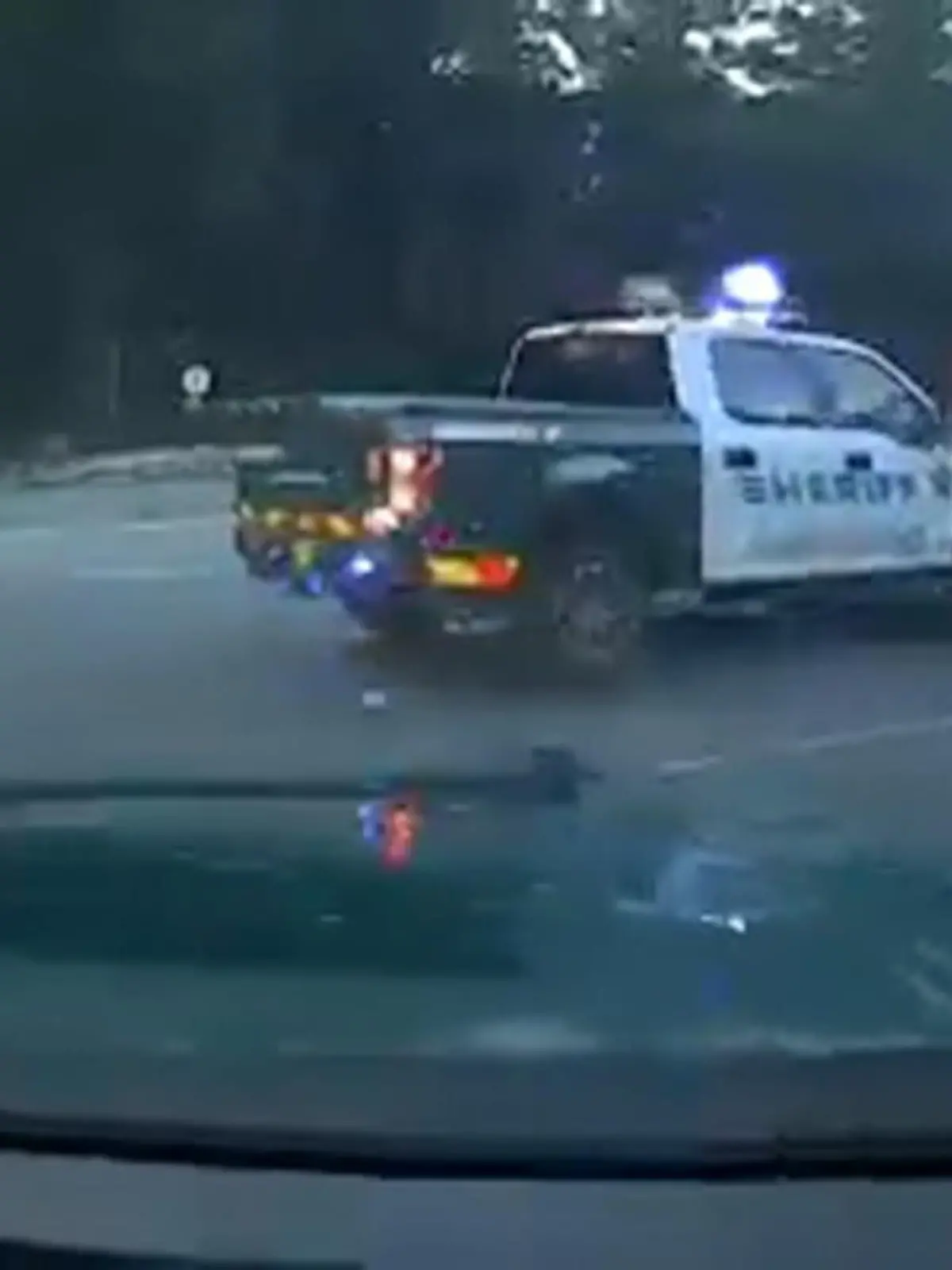 Nach minutenlanger Verfolgungsjagd konnte die Polizei in Florida den Wagen stoppen. Der Fahrer versuchte zu Fuß zu fliehen, doch die Einsatzkräfte überwältigen ihn nach wenigen Metern. Der Flüchtige soll zuvor bewaffnet ein Auto entführt haben, ehe er den Lastwagen stahl und versuchte, damit zu entkommen. Auf den festgenommenen Mann wartet nun sehr wahrscheinlich eine Gefängnisstrafe.