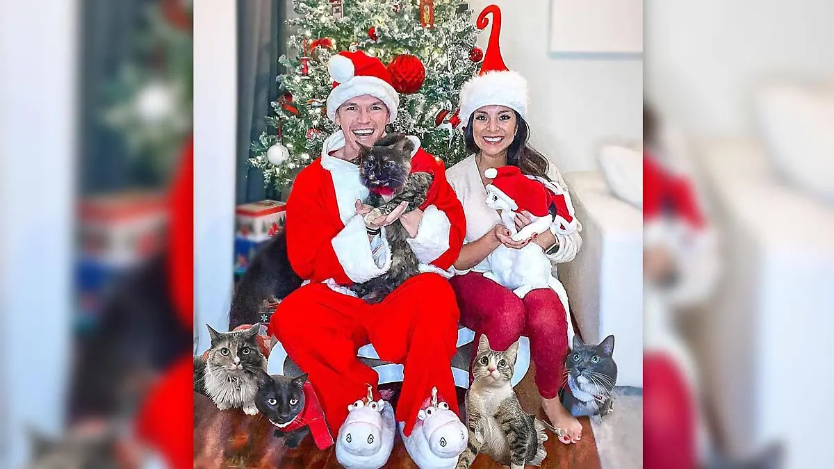 Katzen-Eltern mit Leib und Seele.