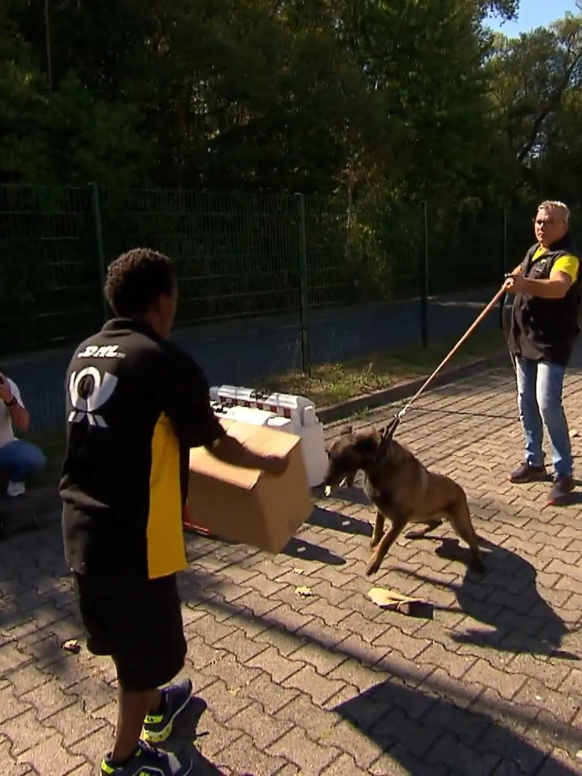 Immer wieder werden Postboten von Hunden angegriffen. Um die Zustellkräfte zu schützen, schult die deutsche Post neue Azubis in „Hundetrainings“ für den richtigen Umgang mit den Vierbeinern.