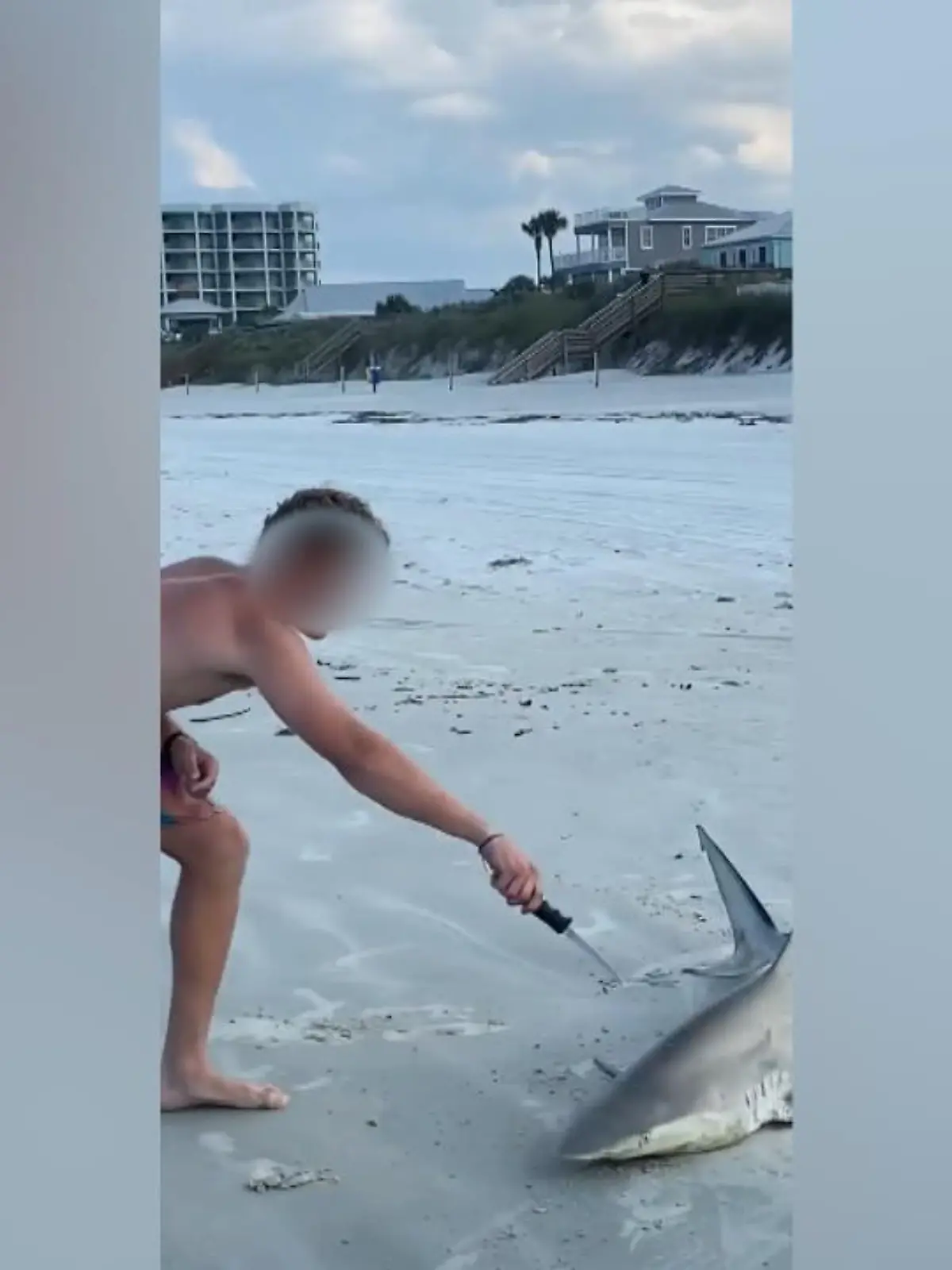 Diese Aufnahmen machen wütend – und sind an Brutalität kaum zu überbieten. An einem Strand in Florida ziehen zwei Männer einen Hai aus dem Wasser. Das Tier kann sich an Land nicht wehren. Hilflos liegt es auf dem Sand, als einer der beiden Tierquäler ein Messer mit voller Wucht in seinen Kopf rammt. Das Tier windet sich vor Schmerzen, doch die beiden jungen Männer lassen nicht von ihm ab. Eine Strandbesucherin versucht den Hai zu retten. Sie bittet die Männer, das Tier in Ruhe zu lassen. Doch ohne Erfolg.