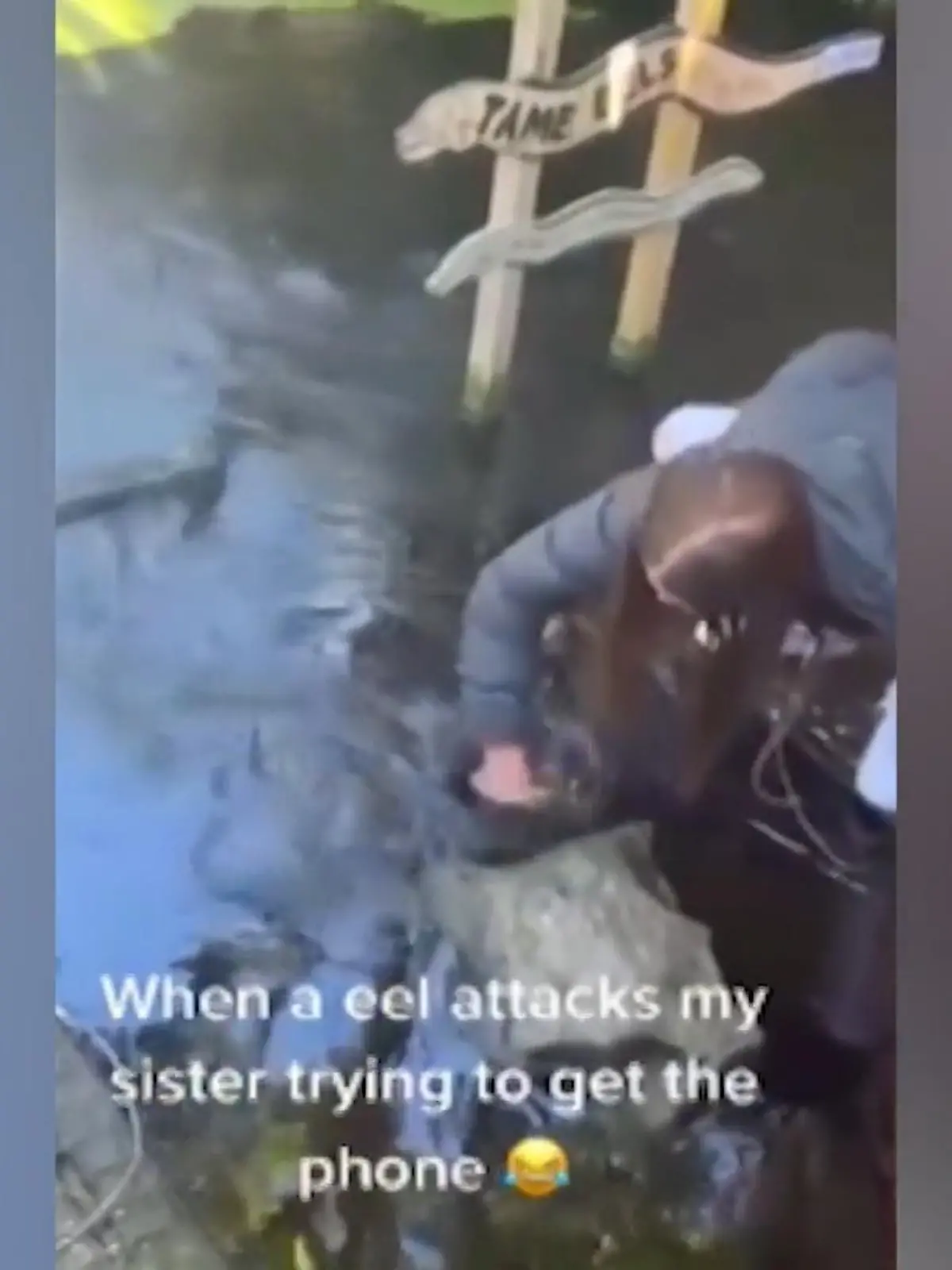 Sein Handy aus dem Wasser fischen zu müssen ist schon schlimm genug. Schlimmer wird es nur durch das, was dieser Frau passiert ist. Im Willowbank-Reservat in Christchurch, Neuseeland hat sie in einem Moment der Unachtsamkeit ihr Handy fallen lassen. Zu allem Überfluss wird sie dann auch noch von einem Aal attackiert.