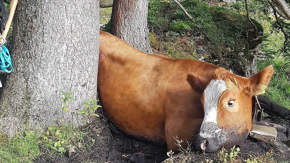 Die Bergretter aus Bad Reichenhall konnten sie befreien.