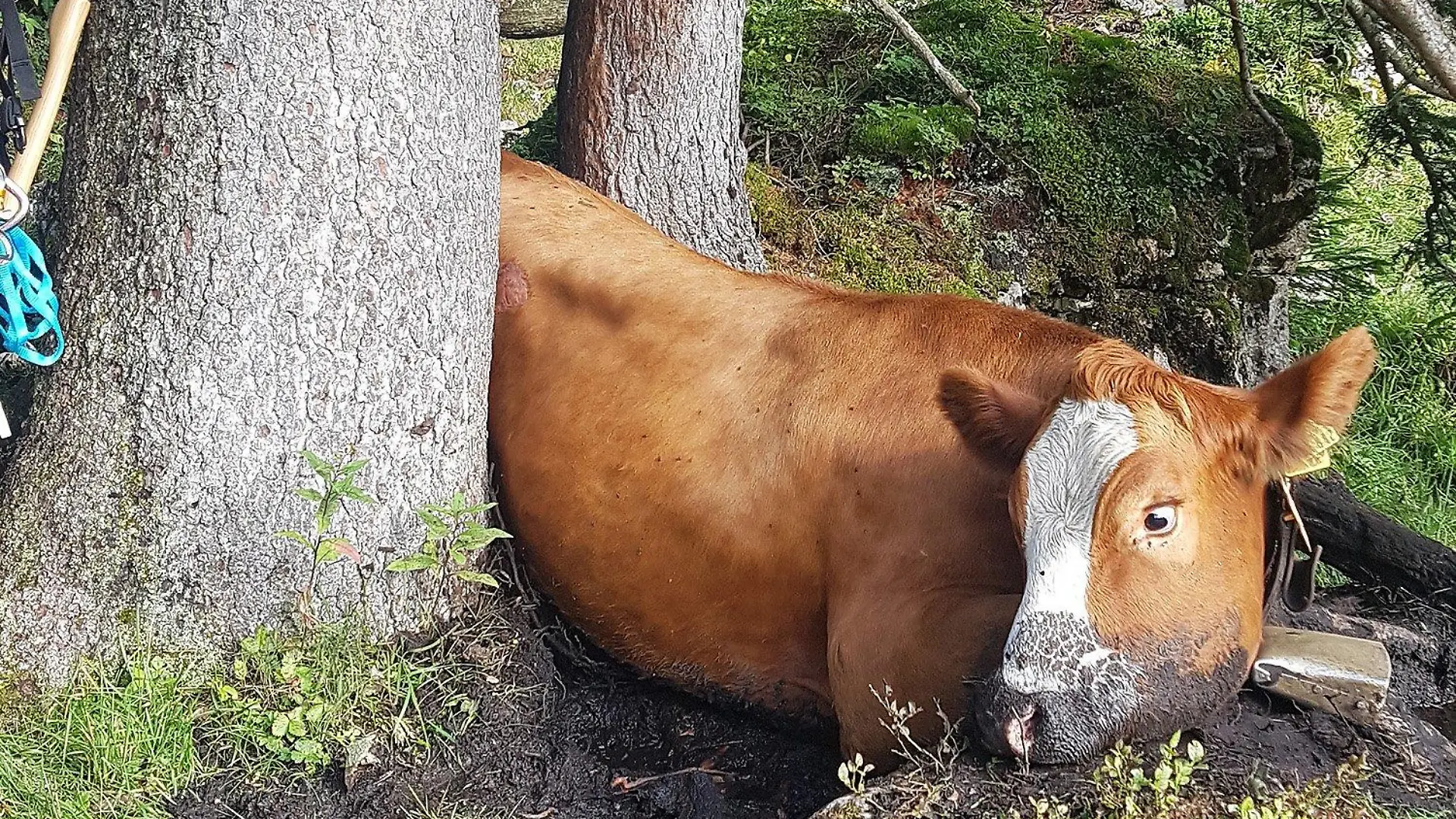Die Bergretter aus Bad Reichenhall konnten sie befreien.
