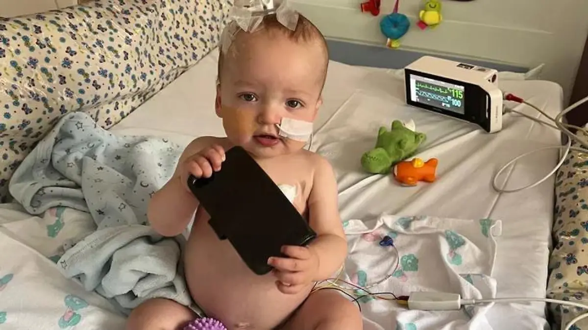 Nach vielen Untersuchungen das niederschmetternde Ergebnis: Ace hat einen Wilms-Tumor an einer Niere.