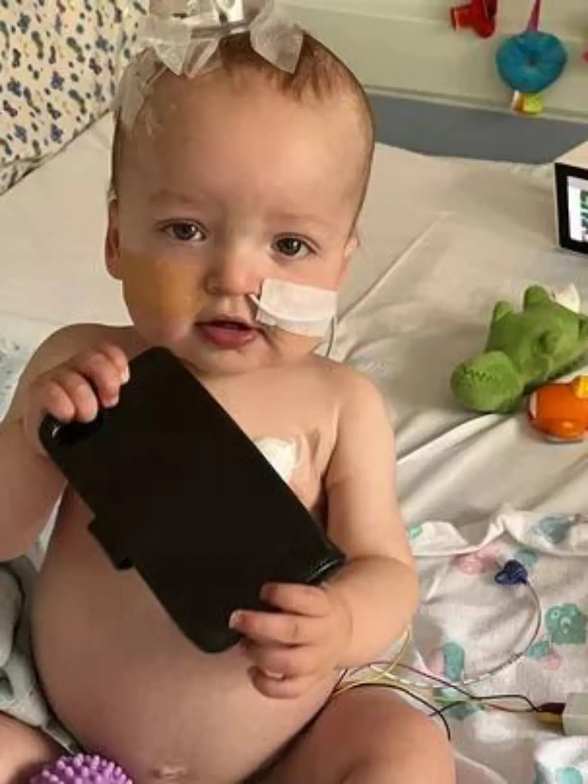 Nach vielen Untersuchungen das niederschmetternde Ergebnis: Ace hat einen Wilms-Tumor an einer Niere.