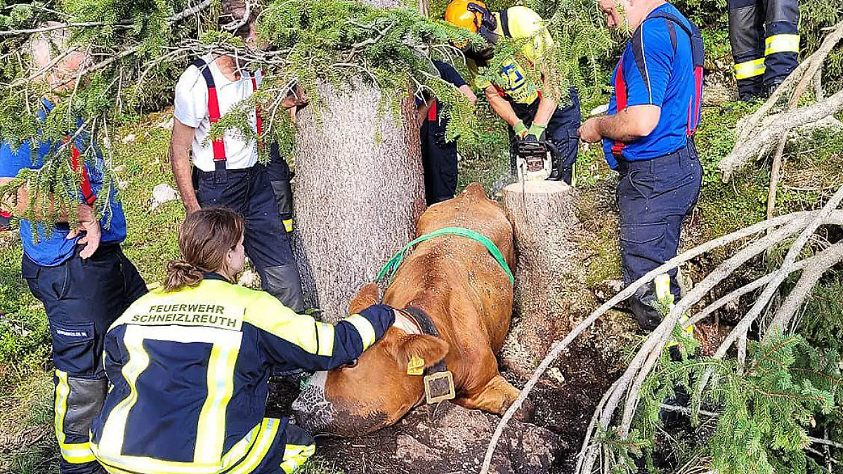 Die Rettungsaktion dauerte mehrere Stunden.
