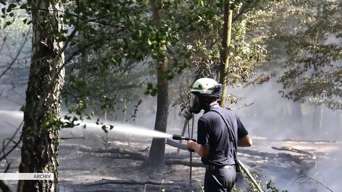 Die Feuerwehr bei der Brandlöschung im Wald.