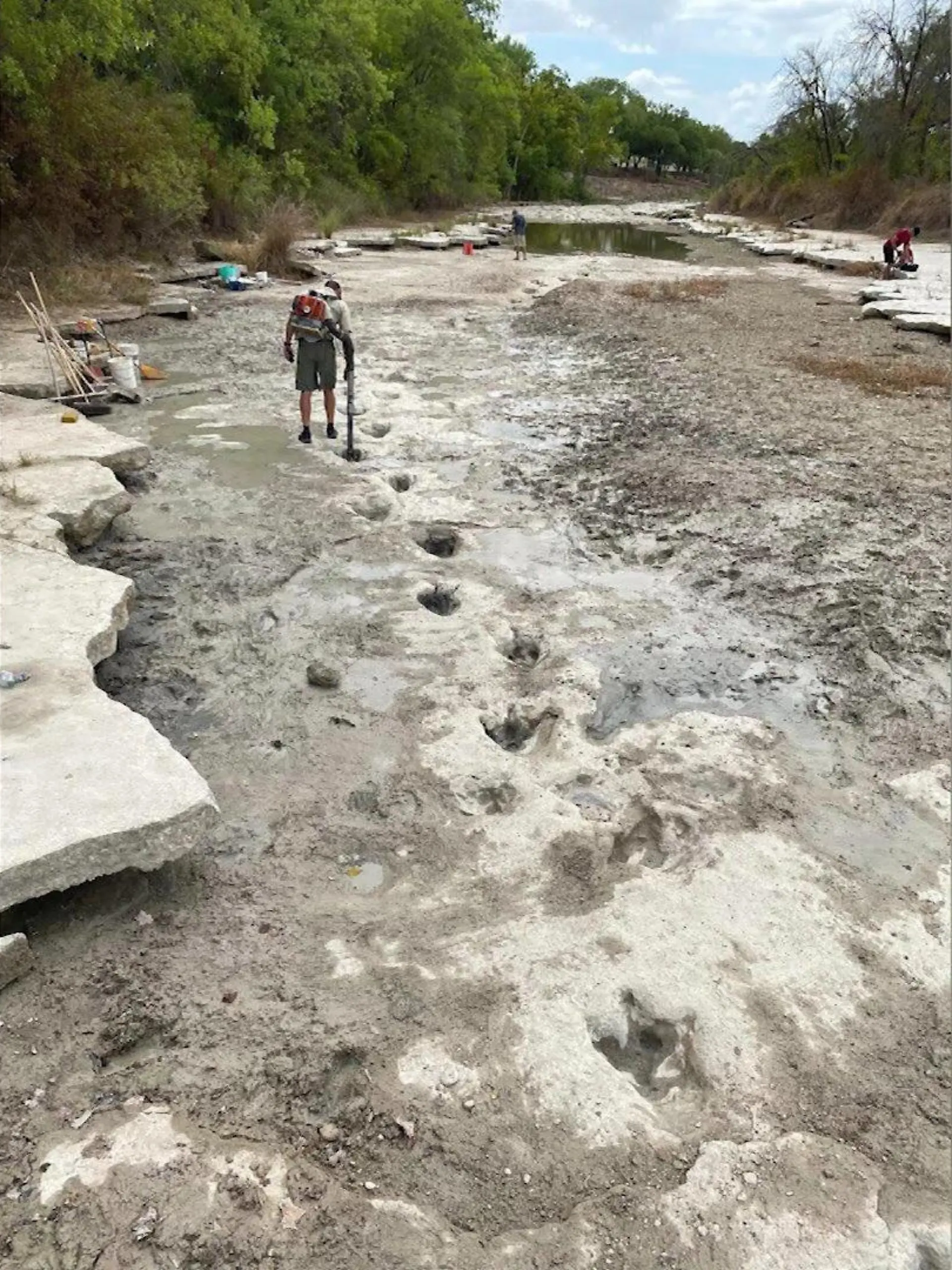Eine Person läuft an einem ausgetrocknetem Fluss entlang und untersucht Dinosaurier-Spuren.