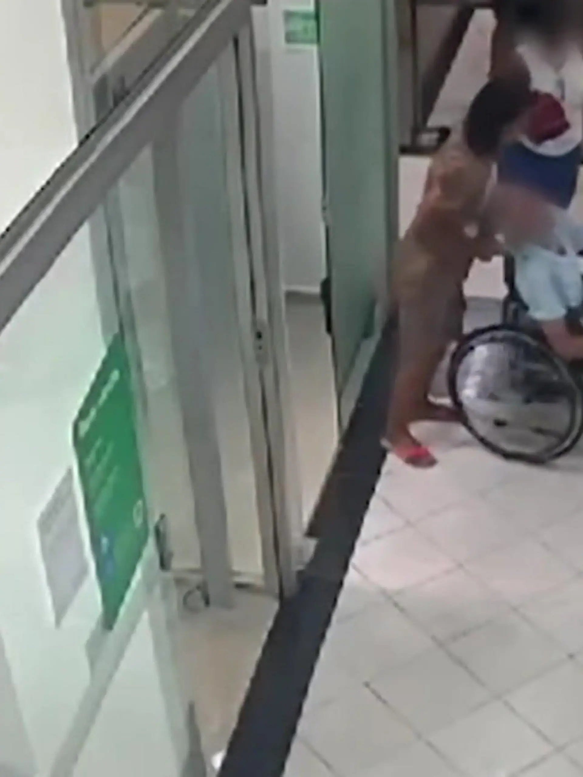 Also SOWAS hört man wirklich nicht aller Tage! Da kommt eine Frau mit ihrem Onkel im Rollstuhl in die Bank. Der Mann soll wegen eines Kredits für sie bürgen. Doch dann stellt sich raus:  der reiche Onkel im Rollstuhl ist längst tot.