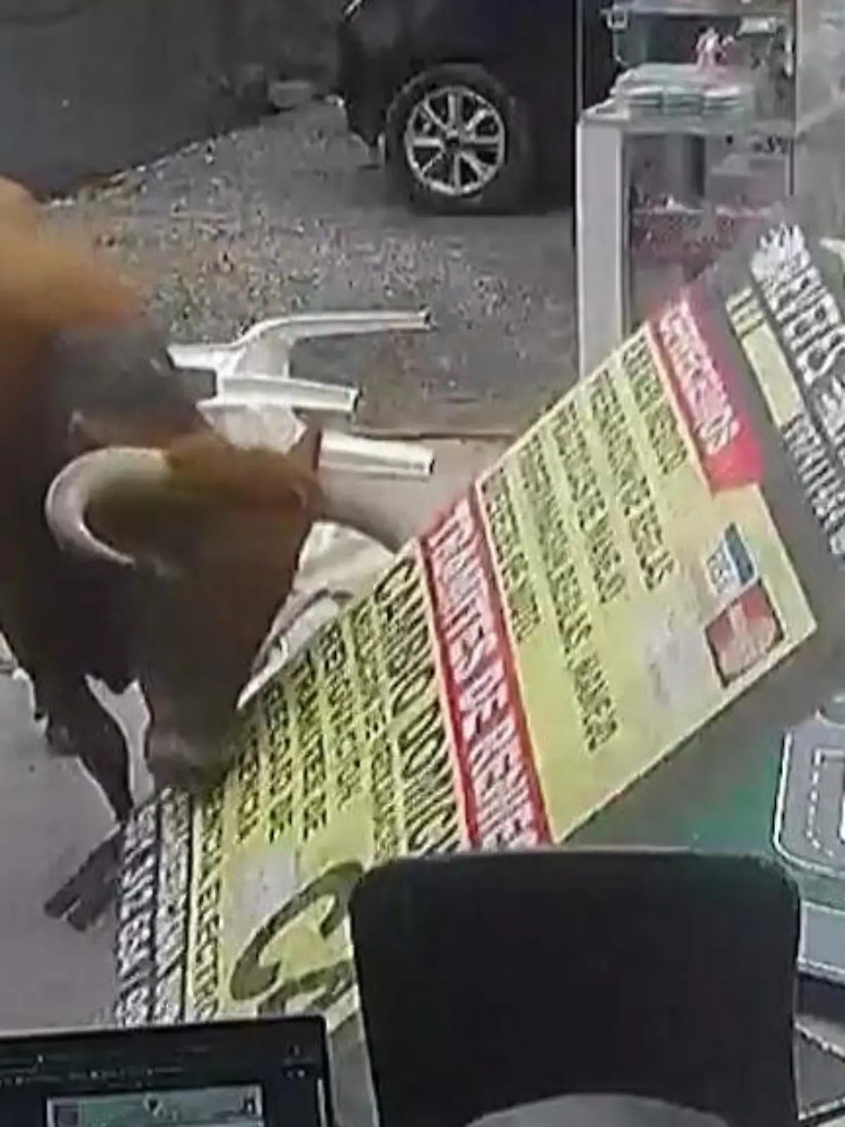Auf dem Weg zum Schlachthof befreit sich ein Bulle aus dem LKW und verwüstet ein Geschäft komplett. Dabei verletzt er eine Person. Die krassen Szenen zeigen wir im Video.