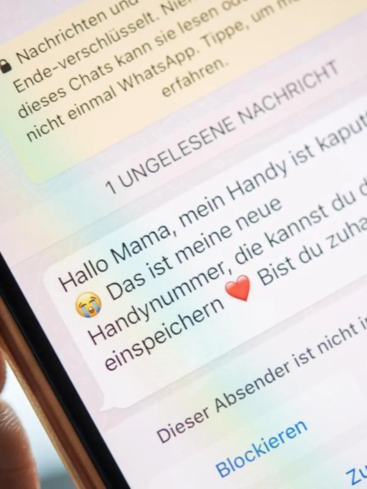 Zacharie Scheurer