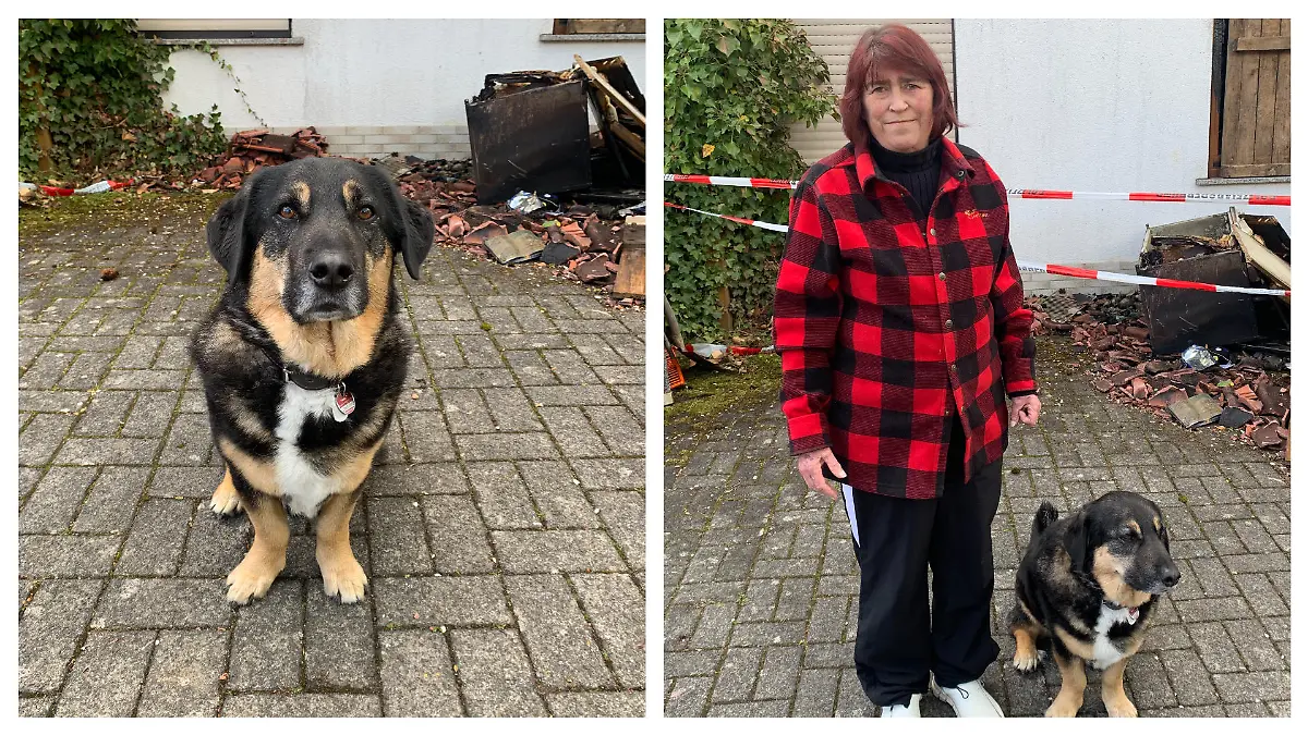 Hund Balou und Frauchen Andrea als Collage.