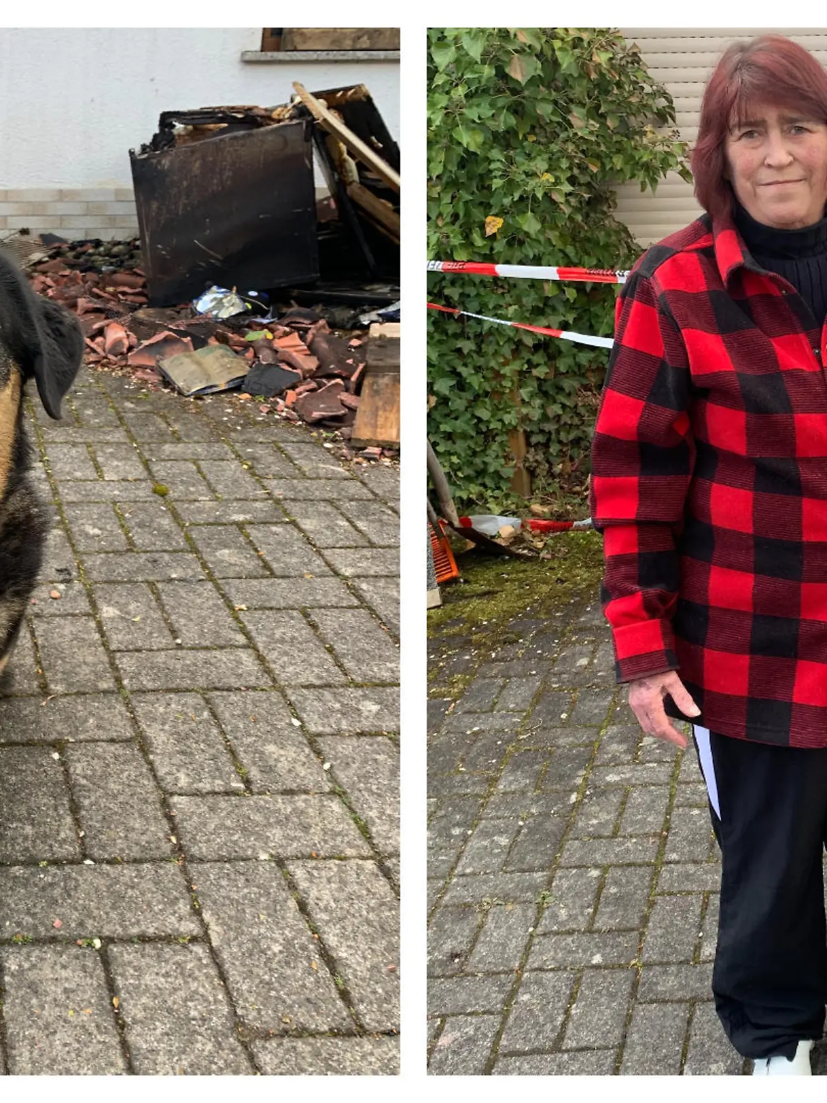 Hund Balou und Frauchen Andrea als Collage.