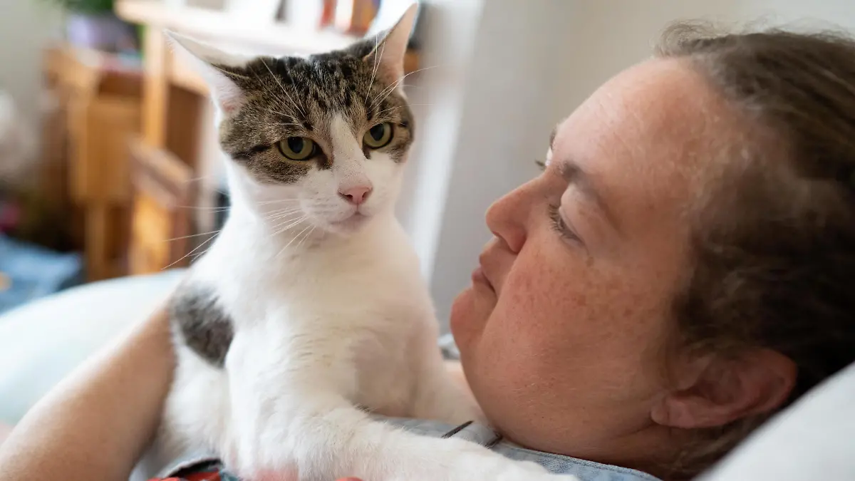 SONDERKONDITIONEN: Satzpreis!
Sam Felstead, and cat Billy which saved Sams life by waking her up during a hear attack by sitting on her chest. Aug 17 2022. See SWNS story SWLNcat. A hero cat saved his owners life by pounding his paws on her chest to wake her up after she suffered a heart attack. Sam Felstead, 42, was asleep when she was woken by her seven-year-old cat Billy at 4.30am. She realised she was unable to move her body and had a shooting pain down her right side so called out to her mum Karen for help. Sam, a receptionist at Queens Medical Centre in Nottingham, was rushed to hospital by Karen in the early hours of August 8. 