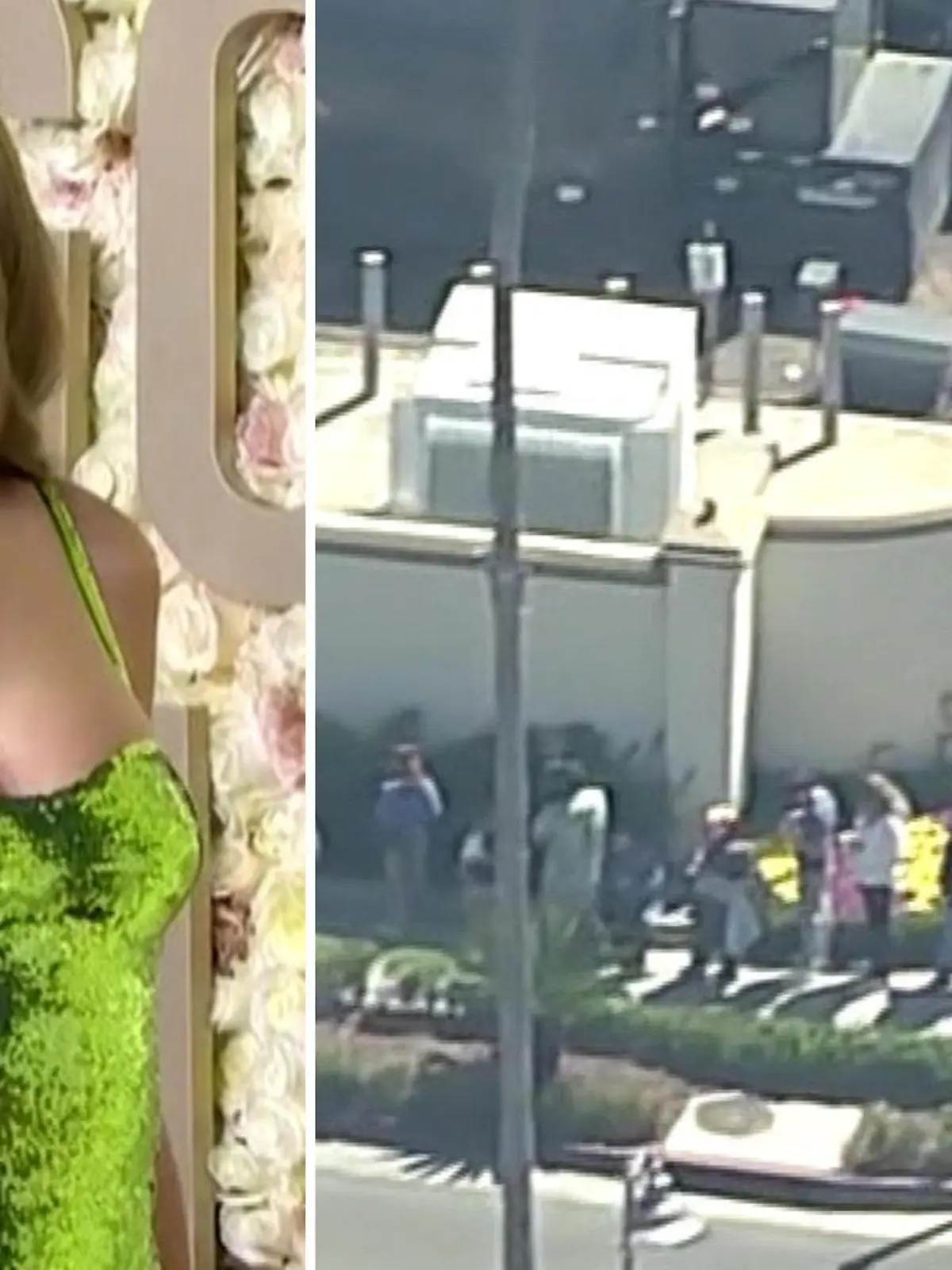 Bild zu: "Buchregal löst irren Hype um Taylor Swift aus"