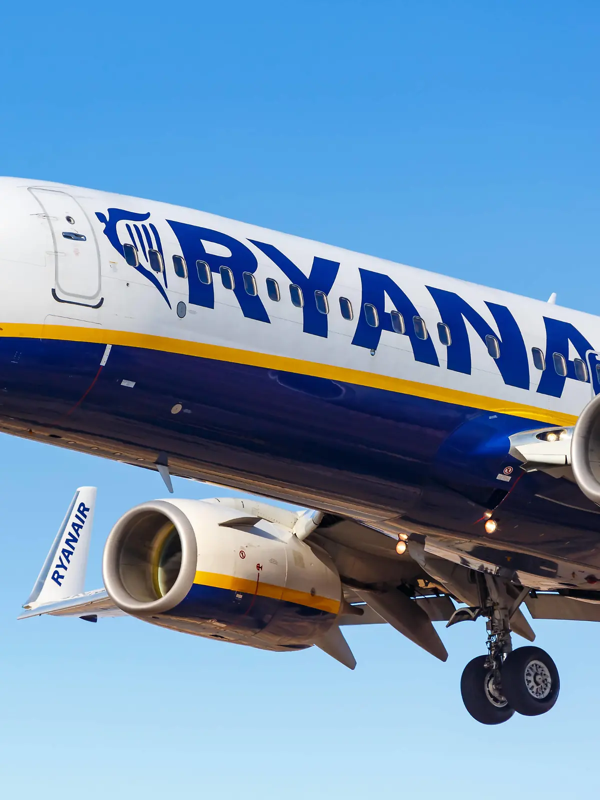  Ryanair Boeing 737-800 Flugzeug Flughafen Teneriffa Süd Teneriffa, Spanien - 23. November 2019: Ein Boeing 737-800 Flugzeug der Ryanair mit dem Kennzeichen EI-EVX auf dem Flughafen Teneriffa Süd TFS in Spanien. *** Ryanair Boeing 737 800 aircraft Tenerife South Tenerife Airport TFS, Spain 23 November 2019 A Ryanair Boeing 737 800 aircraft with registration number EI EVX at Tenerife South TFS Airport in Spain