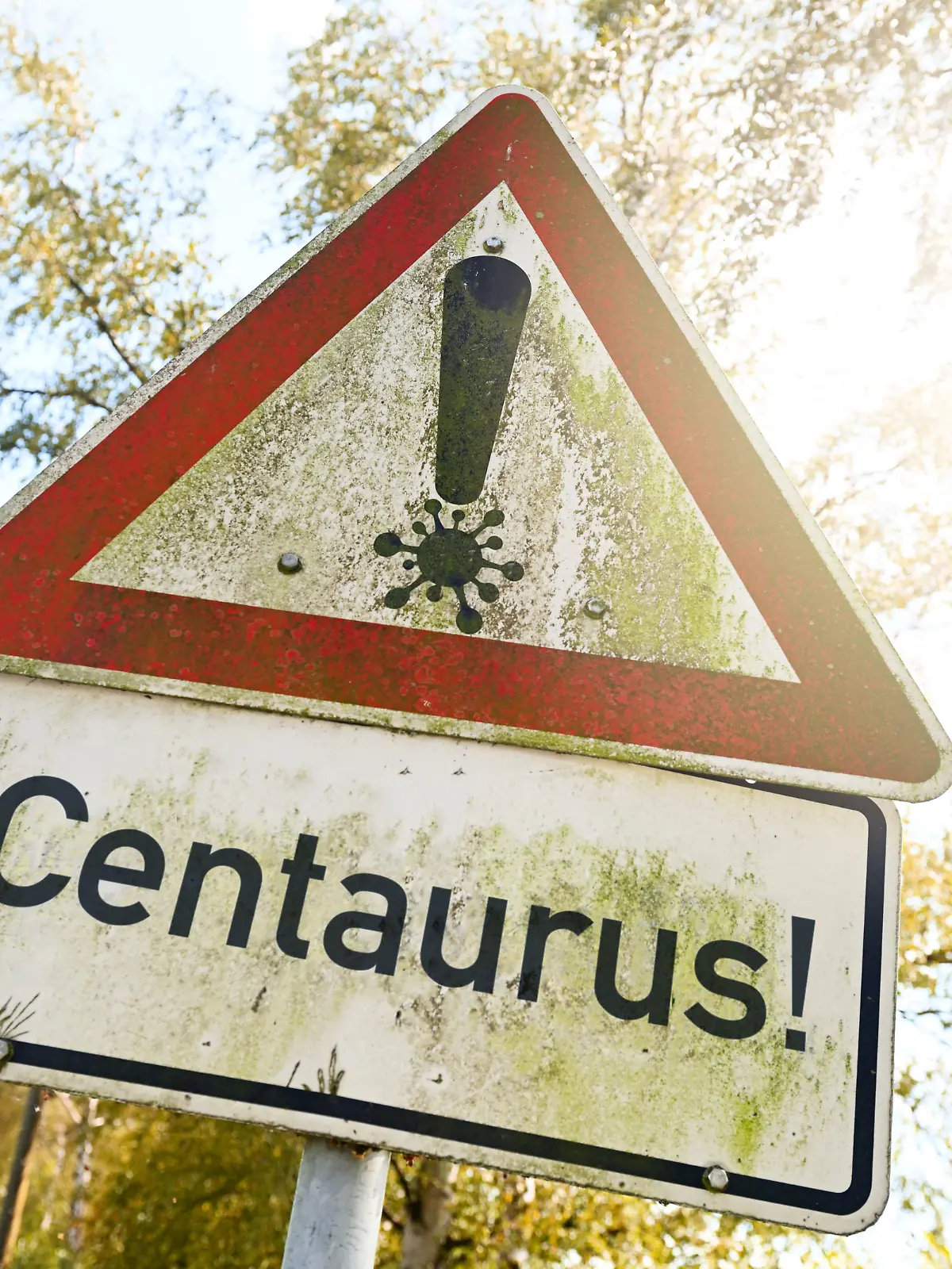 Straßenschild mit Coronavirus-Symbol und Aufschrift Centaurus / action press