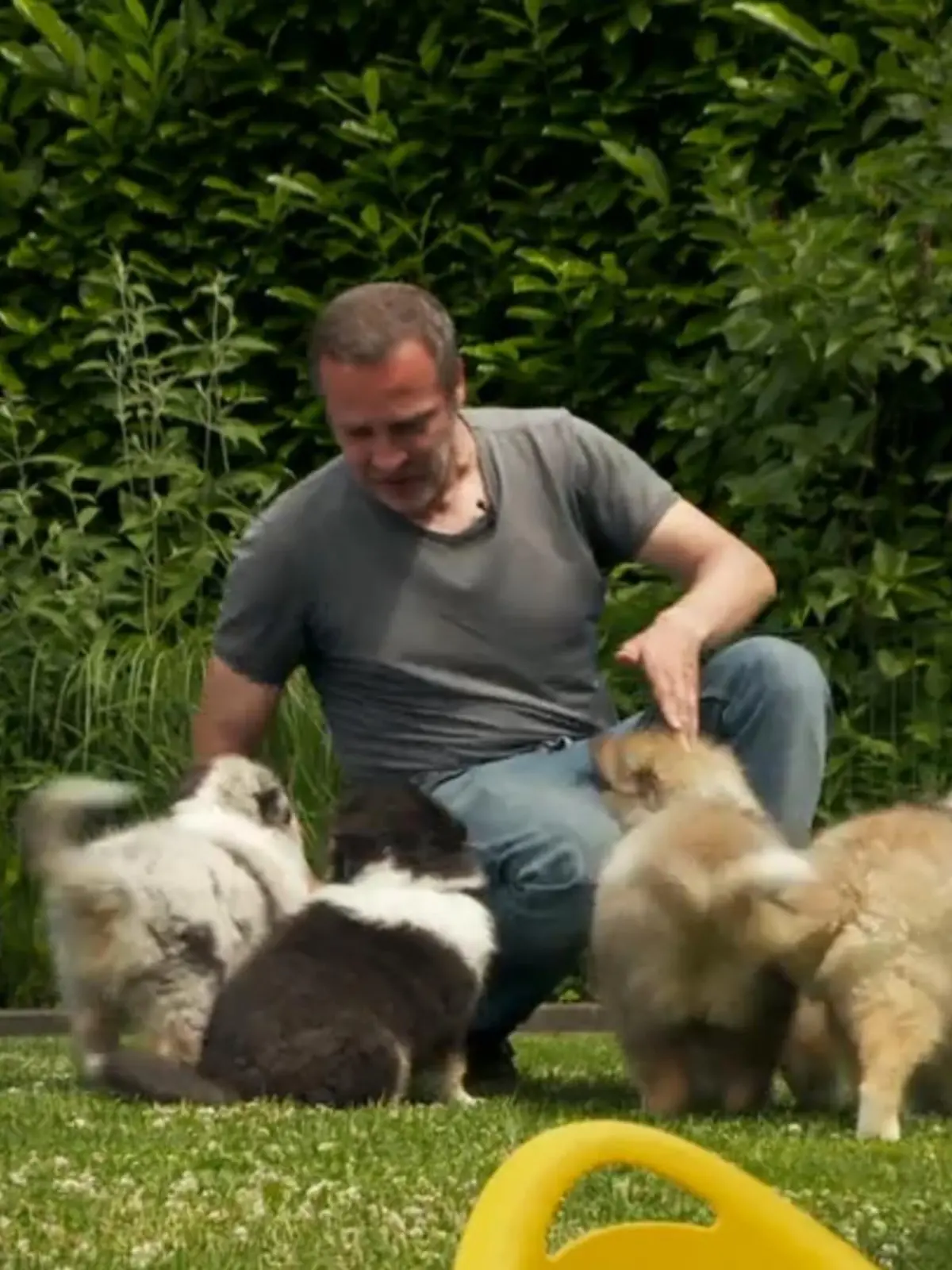 Einen Hund zu kaufen ist eine lebensverändernde Entscheidung. Ab dem Moment, wo die Fellnase einzieht, ist es lauter, haariger und nasser in der ganzen Wohnung. Dafür hat man ein neues Familienmitglied, das einen über Jahre hinweg ganz viel Liebe schenken wird. Trotzdem sollte man sich vor dem Kauf darüber Gedanken machen, ob dieser spezielle Vierbeiner tatsächlich zu einem passt.