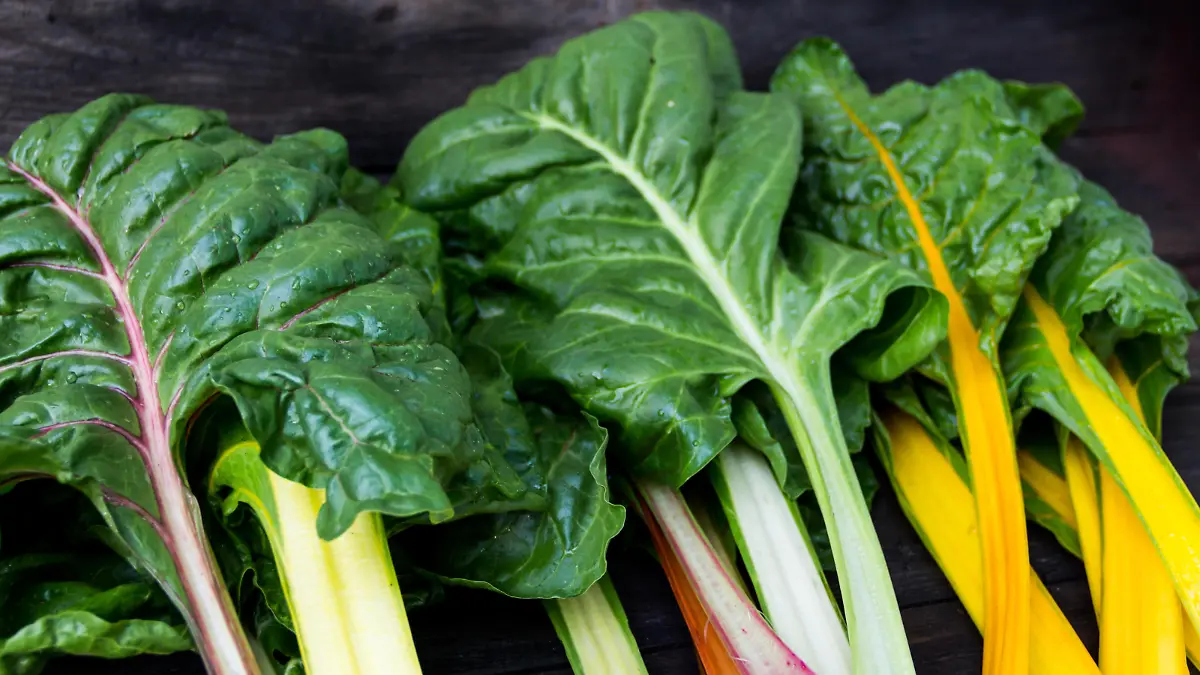 colorful assorted chard leaves from the organic garden