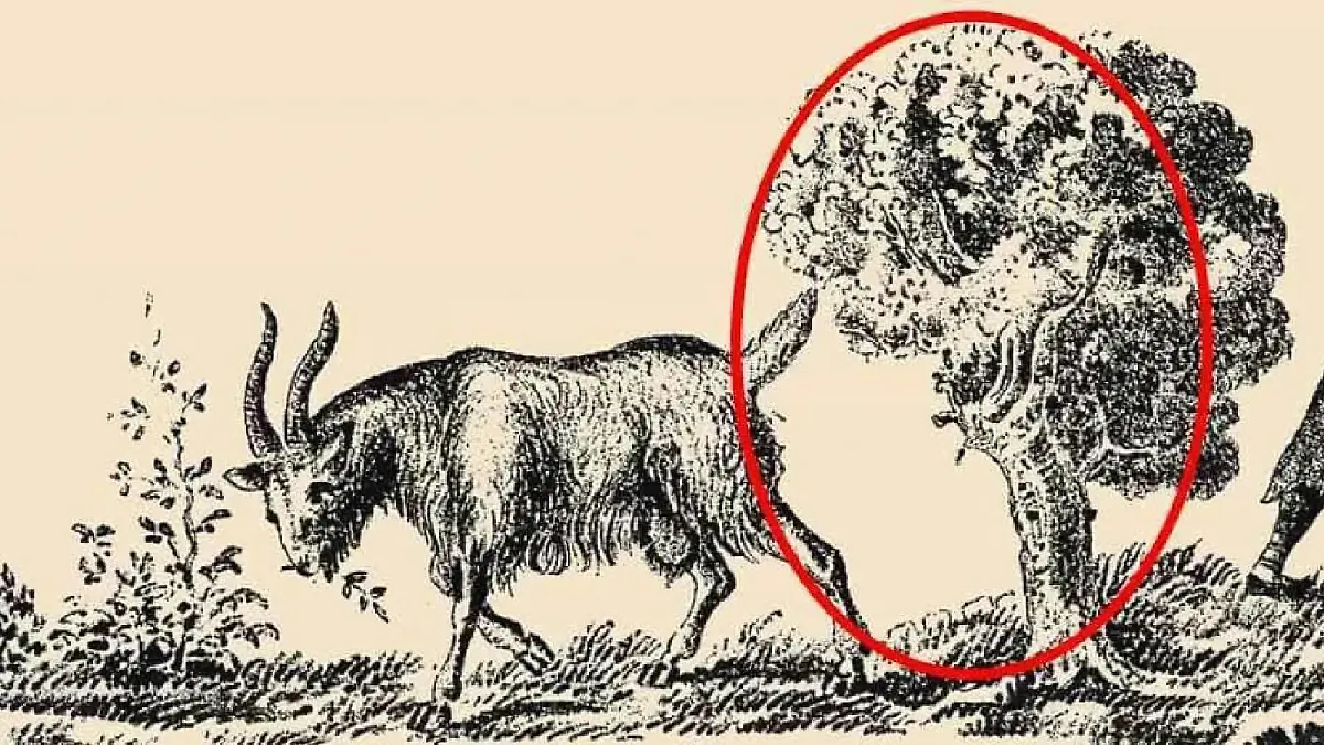 Hier seht ihr, wo sich der Hirte versteckt.