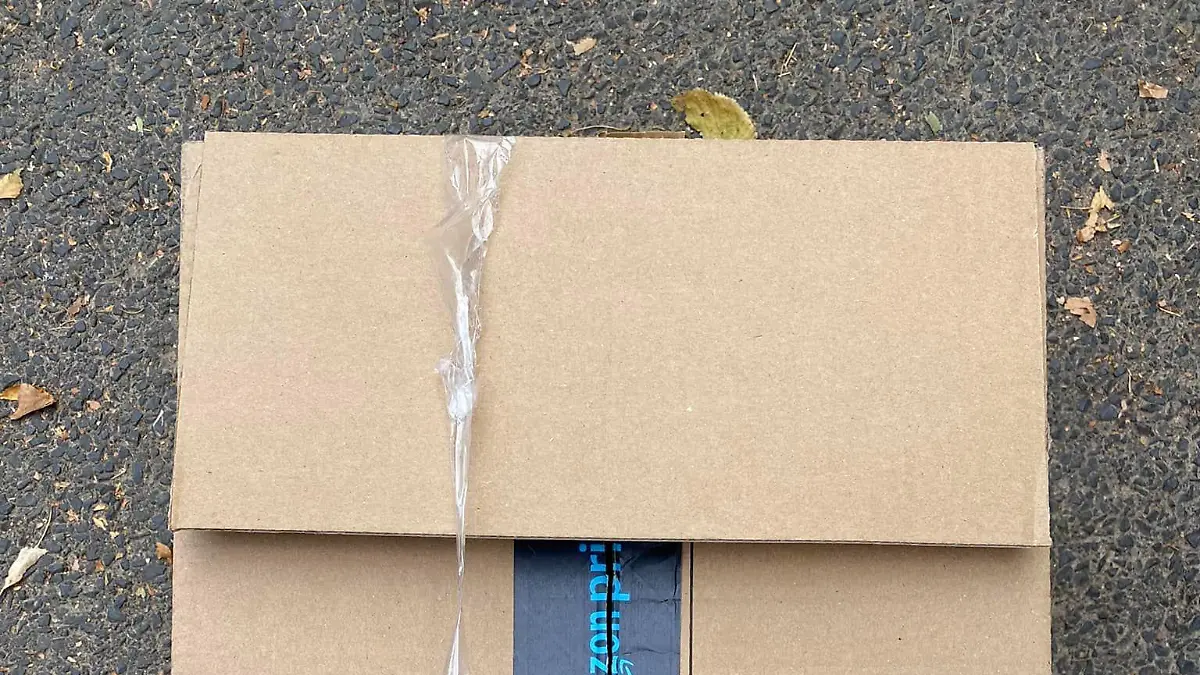 Amazon Karton