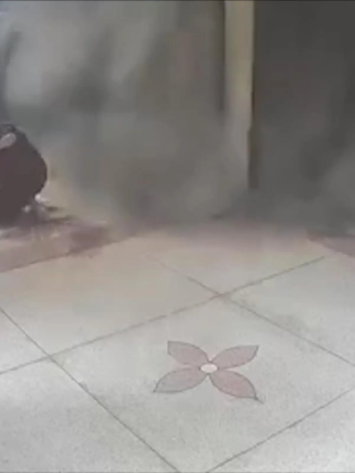 Die Mönche wurden aus ihrem Gebet gerissen, als die Decke des Tempels über Sie zusammenstürzte.  Kaum zu glauben, dass bei diesen Bildern keiner verletzt wurde. Wir zeigen den dramatischen Moment im Video.