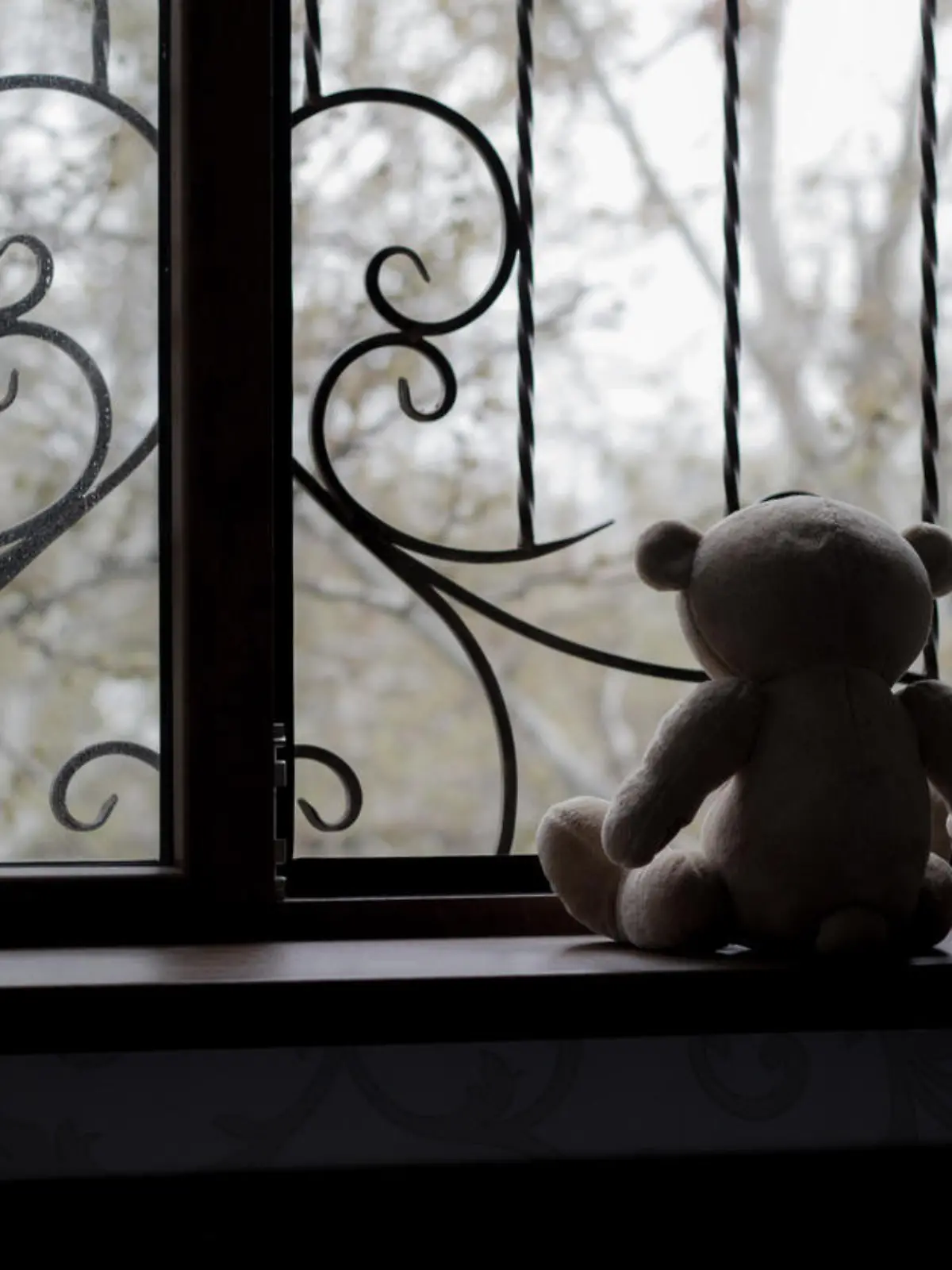 Teddybär schaut aus dem Fenster. Trauriges Bild.