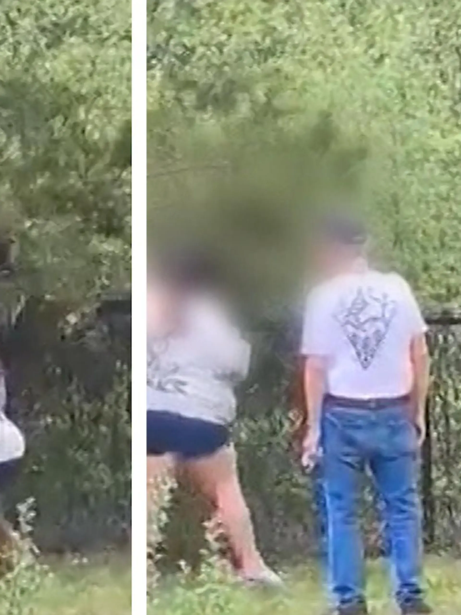 Sechs Menschen aus North Carolina wurden dabei erwischt, wie sie drei Bären-Junge achtlos von einem Baum ziehen, um dann mit ihnen Fotos zu machen. Was eine Biologin dazu sagt und ob die Gruppe nun mit Kosequenzen zu rechnen hat, erfahrt ihr im Video.