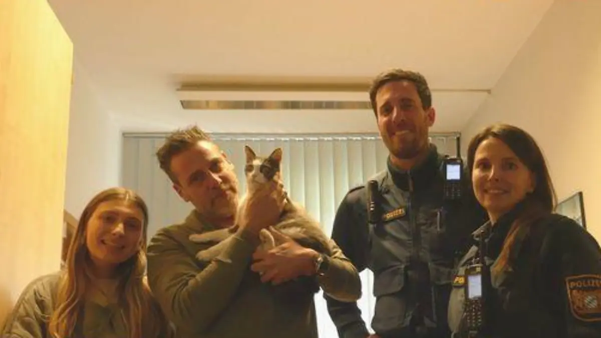 Kater Aslan wird seiner Familie aus Frankreich zurückgegeben