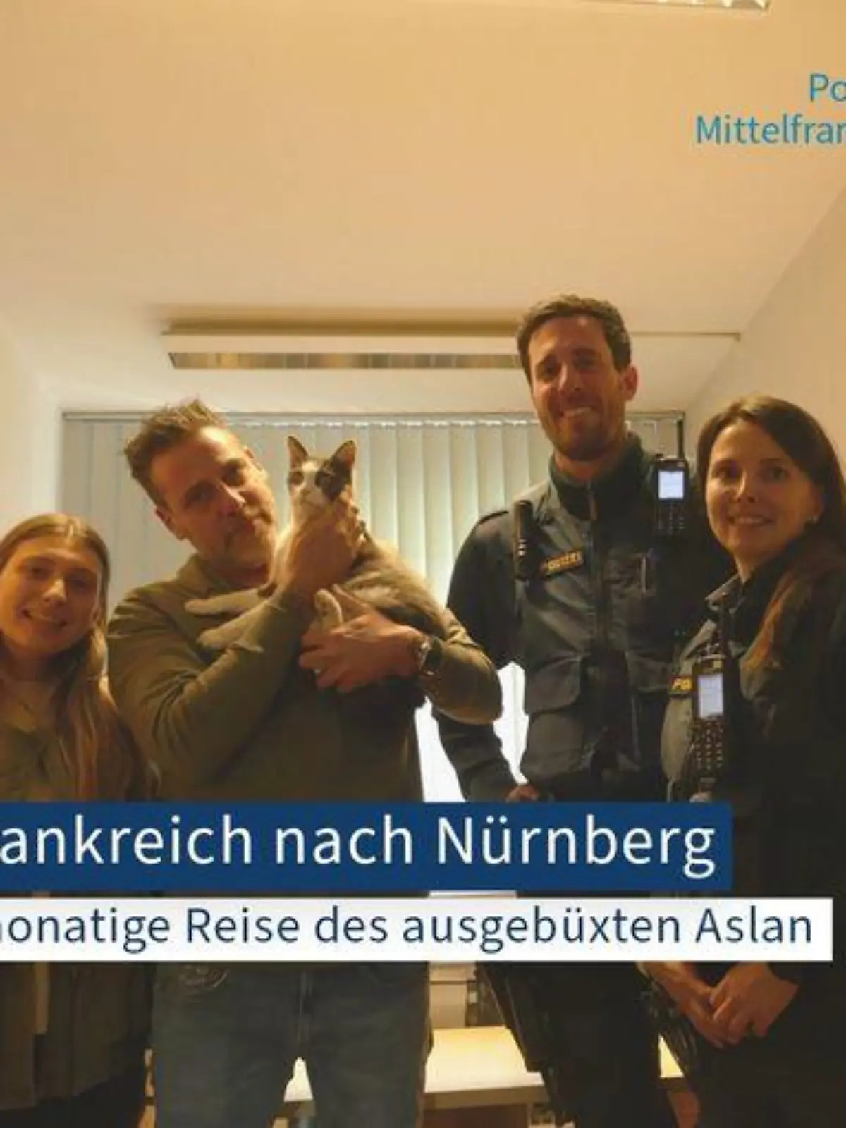 Kater Aslan wird seiner Familie aus Frankreich zurückgegeben