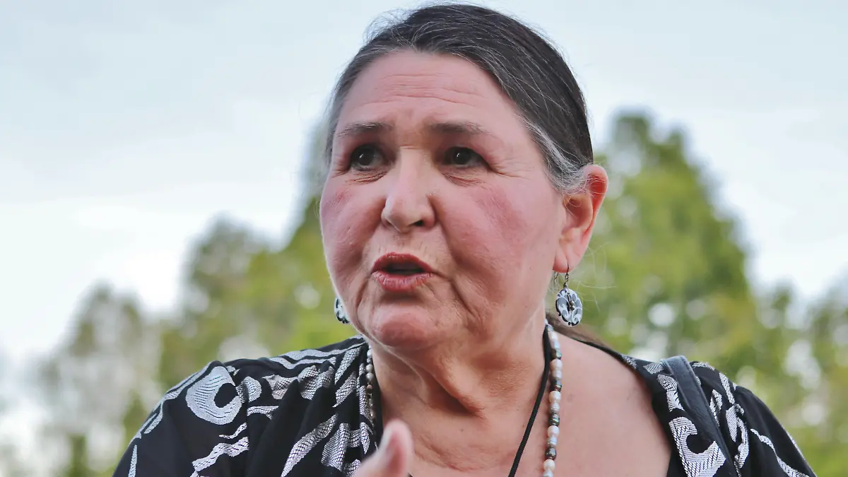 March 29, 2019 - Palm Springs, California, U.S. - Native American Indian actress SACHEEN LITTLEFEATHER received the AmDocs 2019 Razene Supple Humanitarian Award for her work with bettering the rights for tribal life and portrayal of native Indian's in Hollywood, at the opening night of the American Documentary Film Festival. She is famous for accepting an Oscar for Marlon Brando at the 1973 Academy Awards in protest of depiction of American Indian People on screen