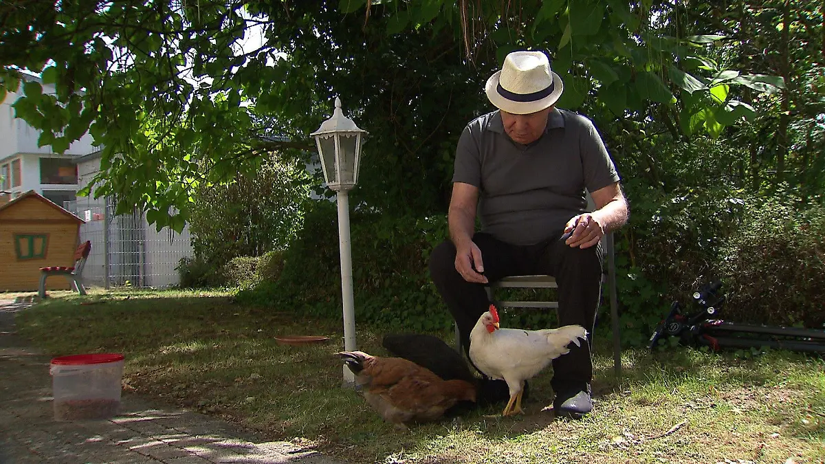 Jürgen und die Hühner