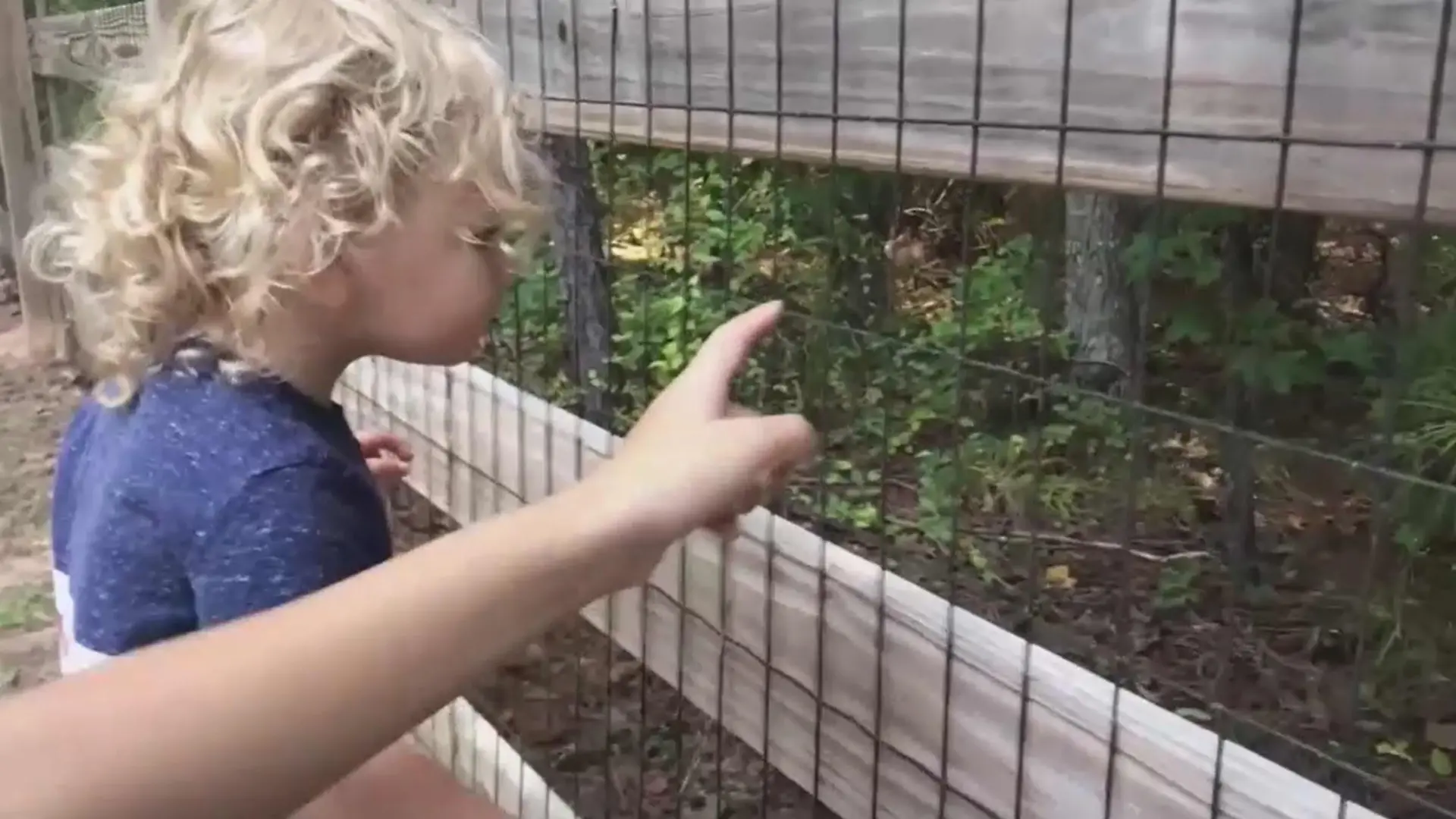 Zwischen diesen Bäumen entdeckte der kleine Ethan das Paar Füße.