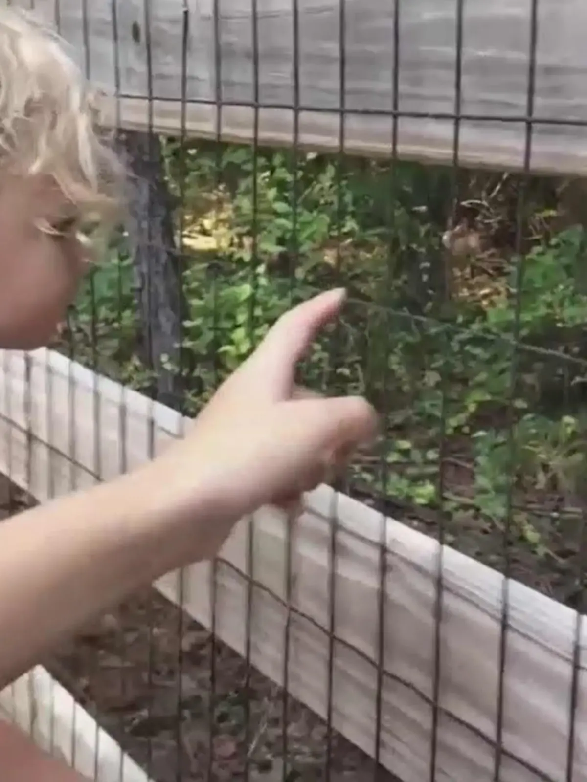 Zwischen diesen Bäumen entdeckte der kleine Ethan das Paar Füße.
