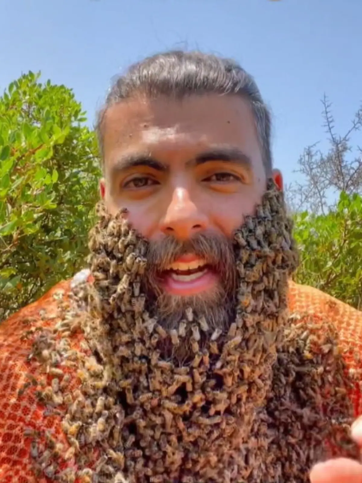 TikToker Johny Abou Rjeily sorgt aktuell mit einem Video, in dem er einen Bart voller Hongbienen trägt, für jede Menge Aufmerksamkeit.