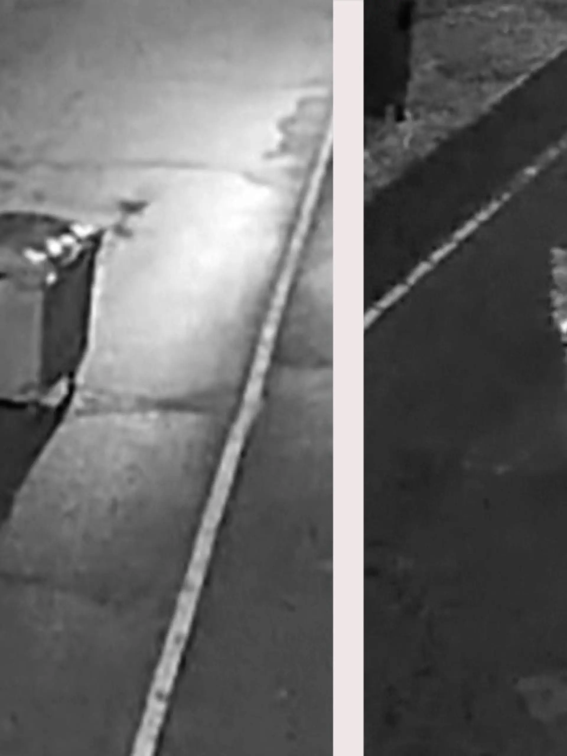 Plötzlich wird es nachts in der rumänischen Stadt Brasov laut. Ein Bär wird dabei erwischt, wie er eine Mülltonne plündert. Ob er gefasst wird, erfahrt ihr im Video.