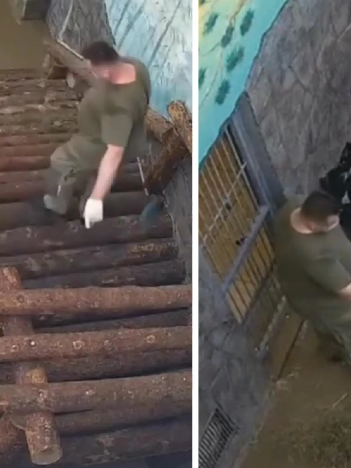 Ein Mitarbeiter des Zoos möchte eigentlich nur seine Arbeit machen,  aber das Panda-Baby möchte lieber mit ihm spielen. Wie die Putzaktion ausgeht, erfahrt ihr im Video.
