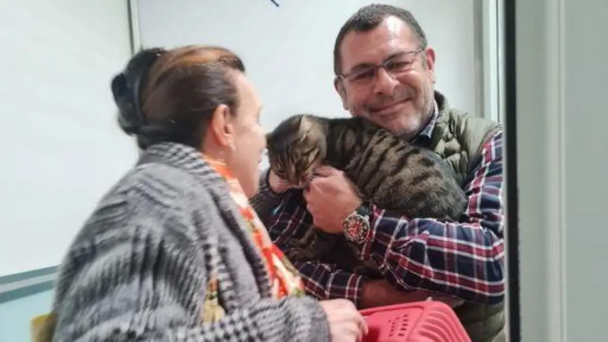Kater Gustave wird Besitzern aus Frankreich übergeben