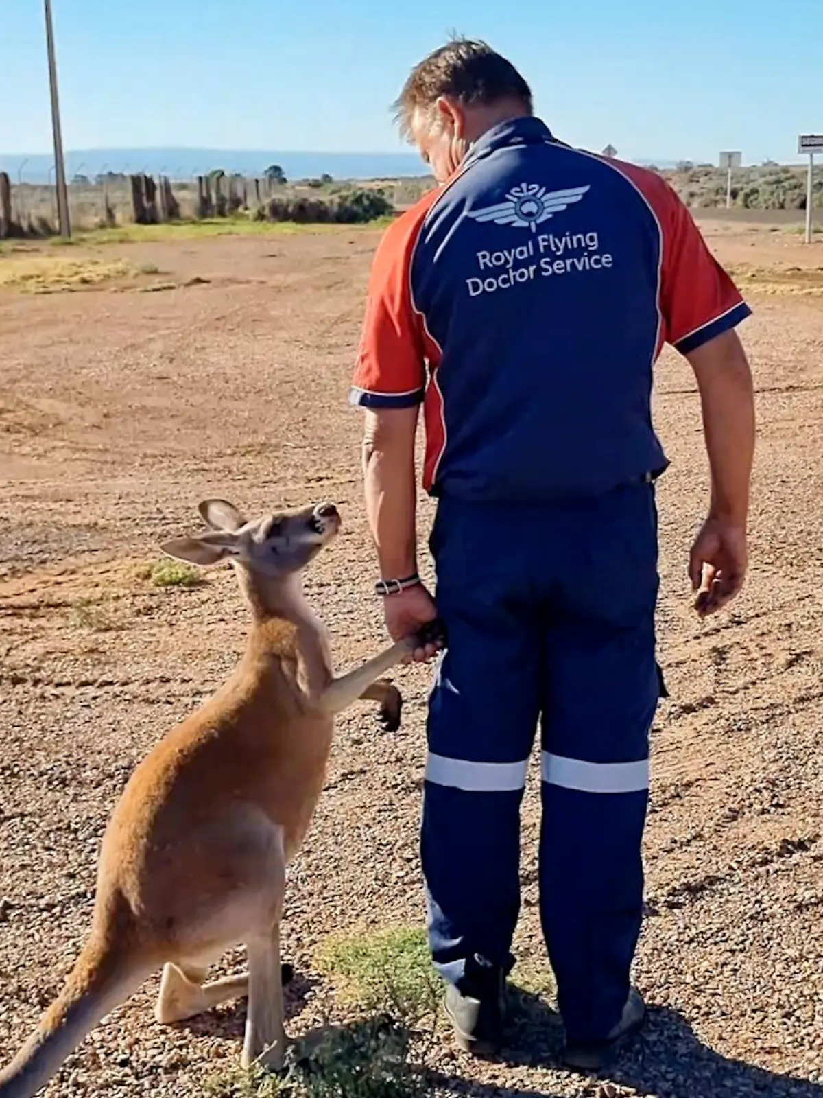 In Port Augusta ist Pilot Mick Young gerade mit einem Ärzteteam an der Base, als er einem Känguru begegnet. „Ein faires, australisches Zusammenspiel!“ heißt es auf der Instagram-Seite der Instagram-Seite royalflyingdoc, wo das Bild geteilt wurde. Dabei ist es weit mehr als nur fair, sondern besonders süß. Denn das Beuteltier hat sofort Sympathien für den Arzt und nimmt ihn an der Hand. 

Im Video seht ihr die echt knuffigen Bilder – klar, dass da nicht nur die Australier hin und weg sind.
