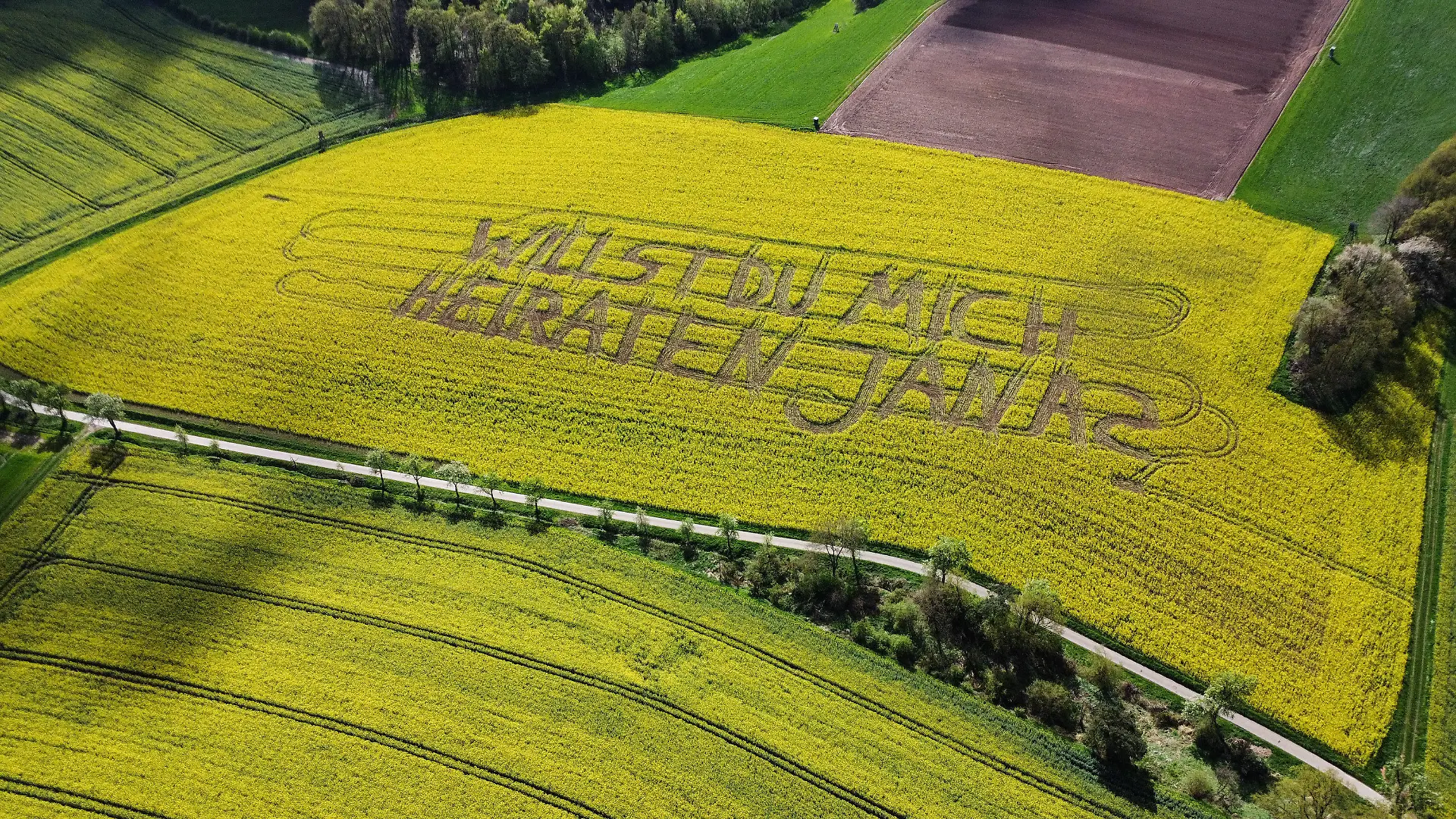PRODUKTION - 17.04.2024, Hessen, Rauschenberg (Landkreis Marburg-Biedenkopf): "Willst Du mich heiraten, Jana?", steht in einem Rettichfeld, das Raps zum Verwechseln ähnelt, bei Rauschenberg im Landkreis Marburg-Biedenkopf. Foto: Nadine Weigel/dpa +++ dpa-Bildfunk +++