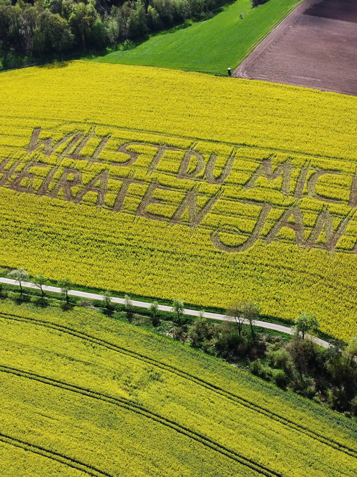 PRODUKTION - 17.04.2024, Hessen, Rauschenberg (Landkreis Marburg-Biedenkopf): "Willst Du mich heiraten, Jana?", steht in einem Rettichfeld, das Raps zum Verwechseln ähnelt, bei Rauschenberg im Landkreis Marburg-Biedenkopf. Foto: Nadine Weigel/dpa +++ dpa-Bildfunk +++