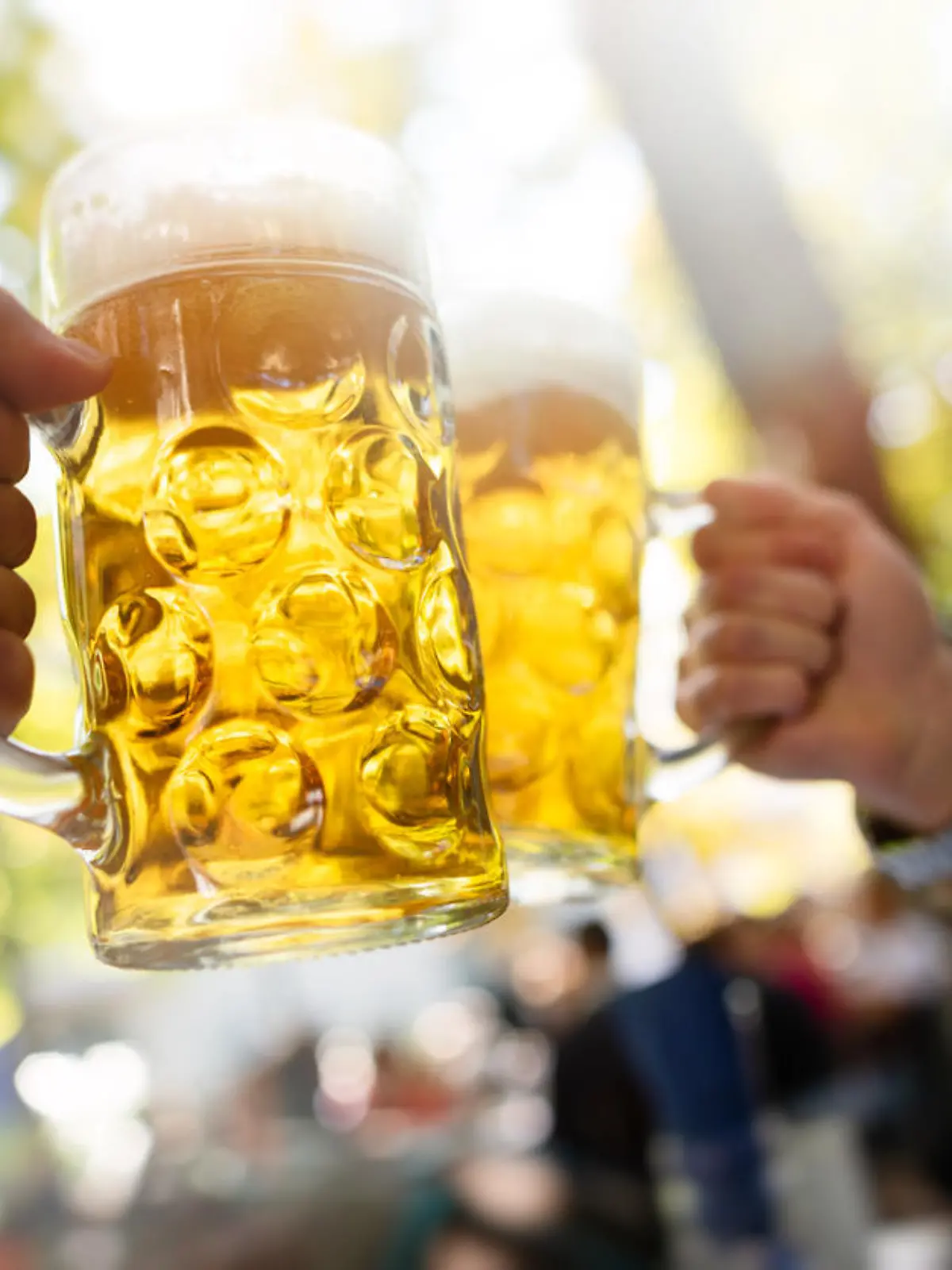 two young men drinking beer in a Munich beer garden